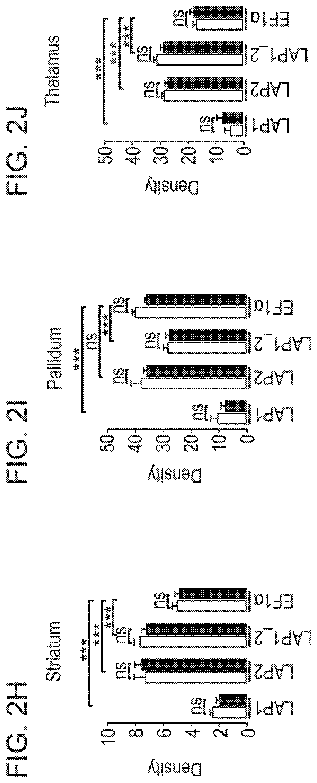 Patent US12551574 Figure 8 – Recombinant nucleic acids containing alphaherpesvirus promoter sequences