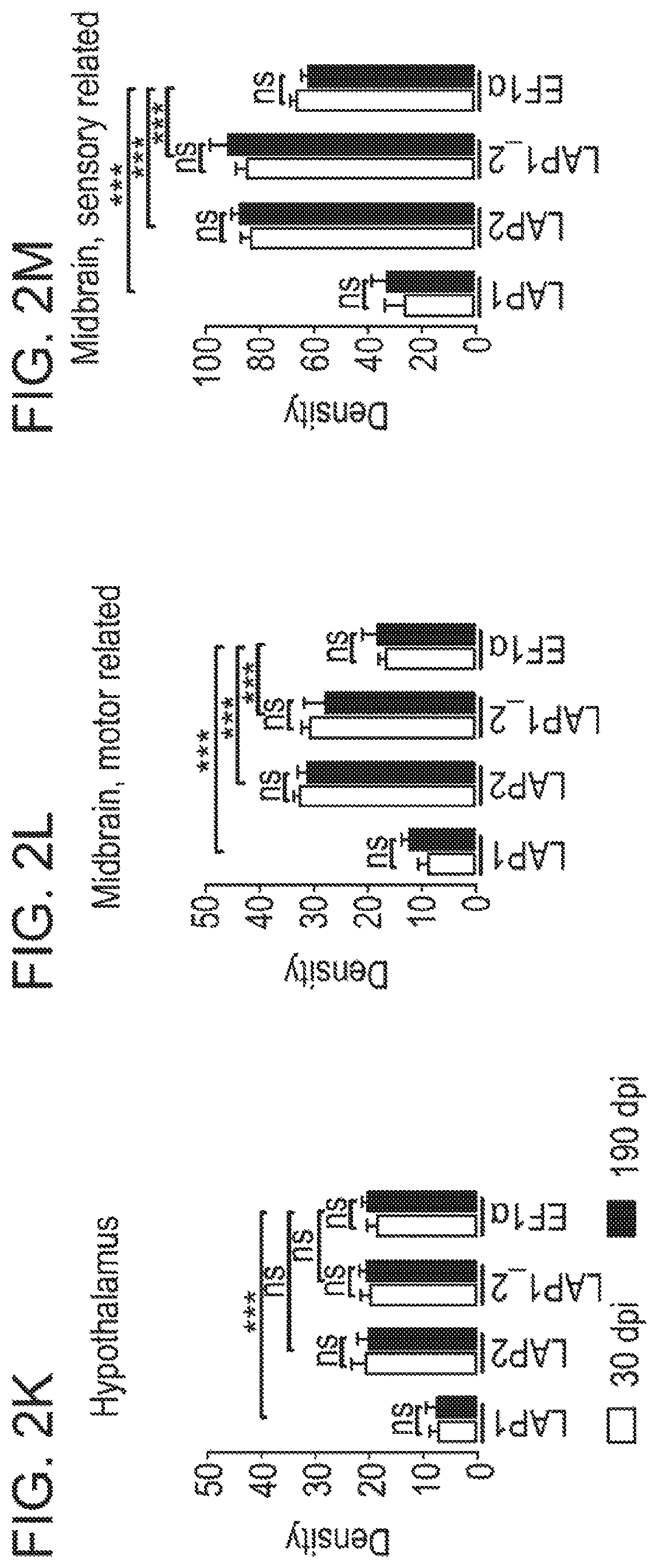 Patent US12551574 Figure 9 – Recombinant nucleic acids containing alphaherpesvirus promoter sequences