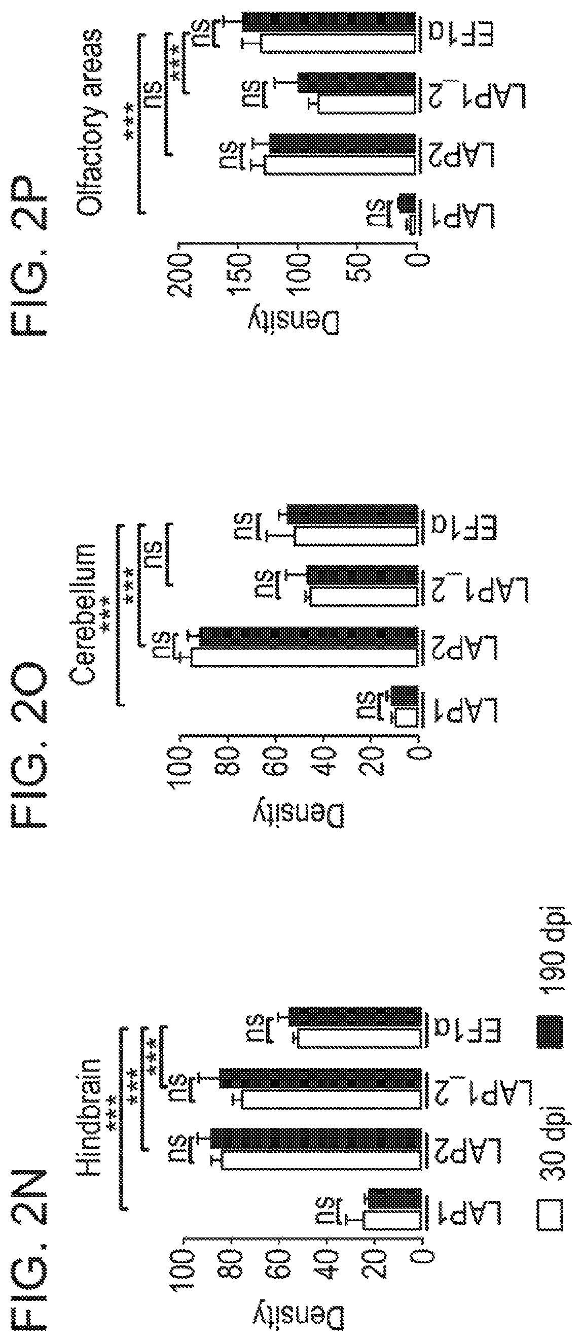 Patent US12551574 Figure 10 – Recombinant nucleic acids containing alphaherpesvirus promoter sequences
