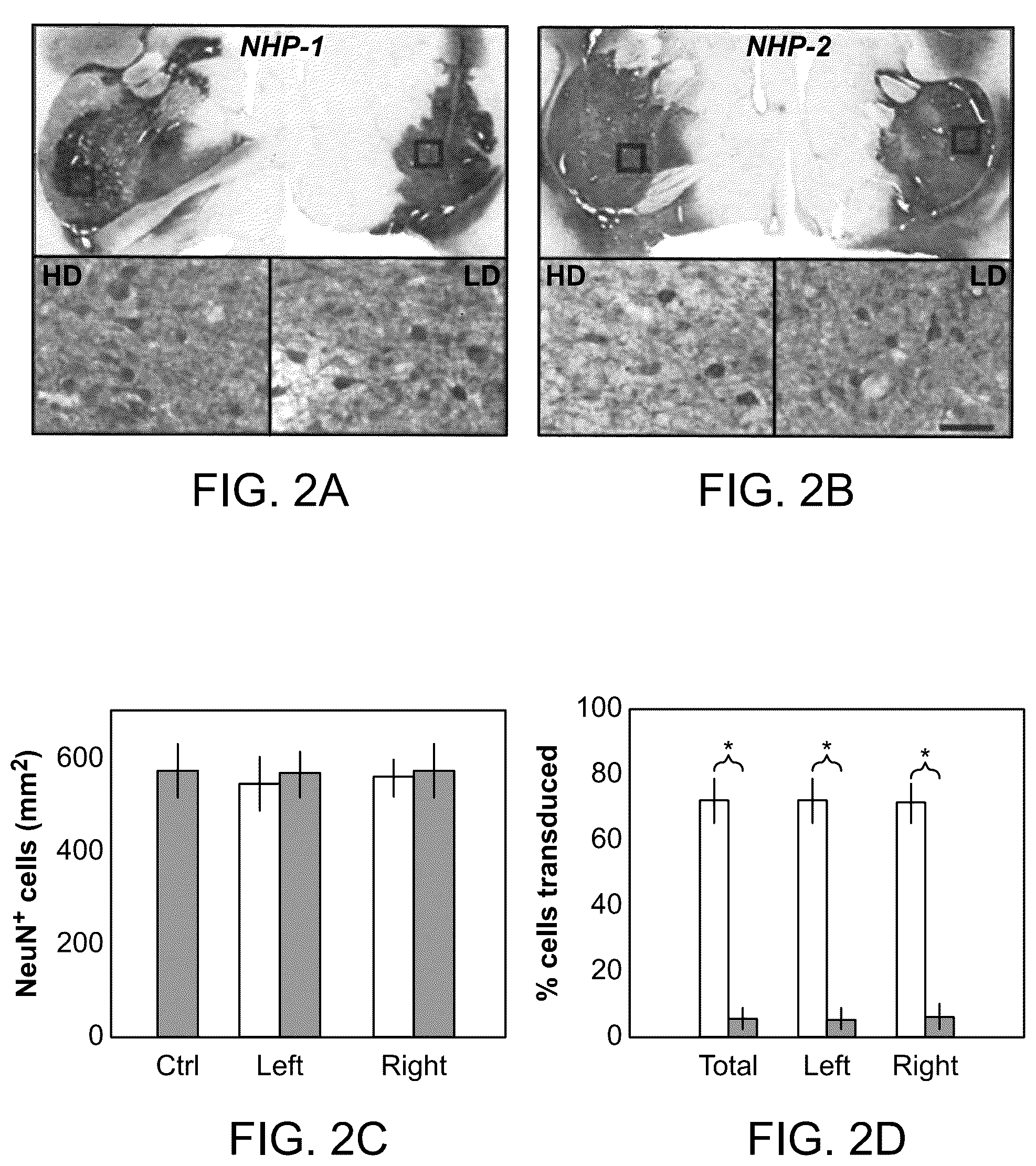 Patent US12551575 Figure 3 – Htt repressors and uses thereof