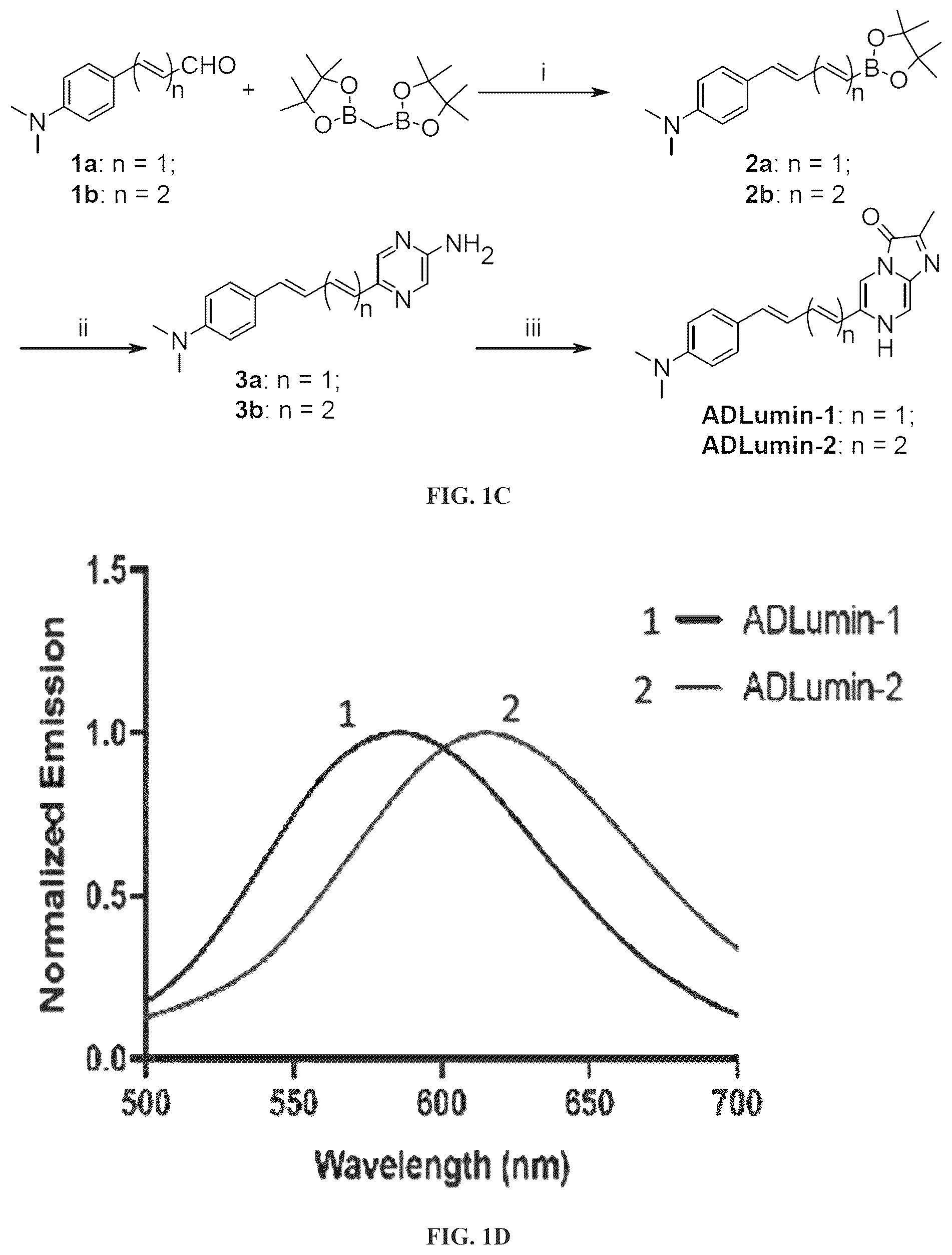 Patent US12551576 Figure 2 – Chemiluminescent probes