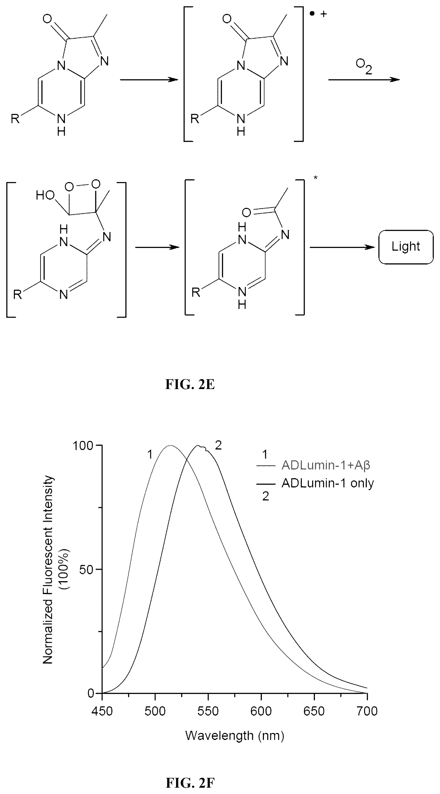 Patent US12551576 Figure 5 – Chemiluminescent probes