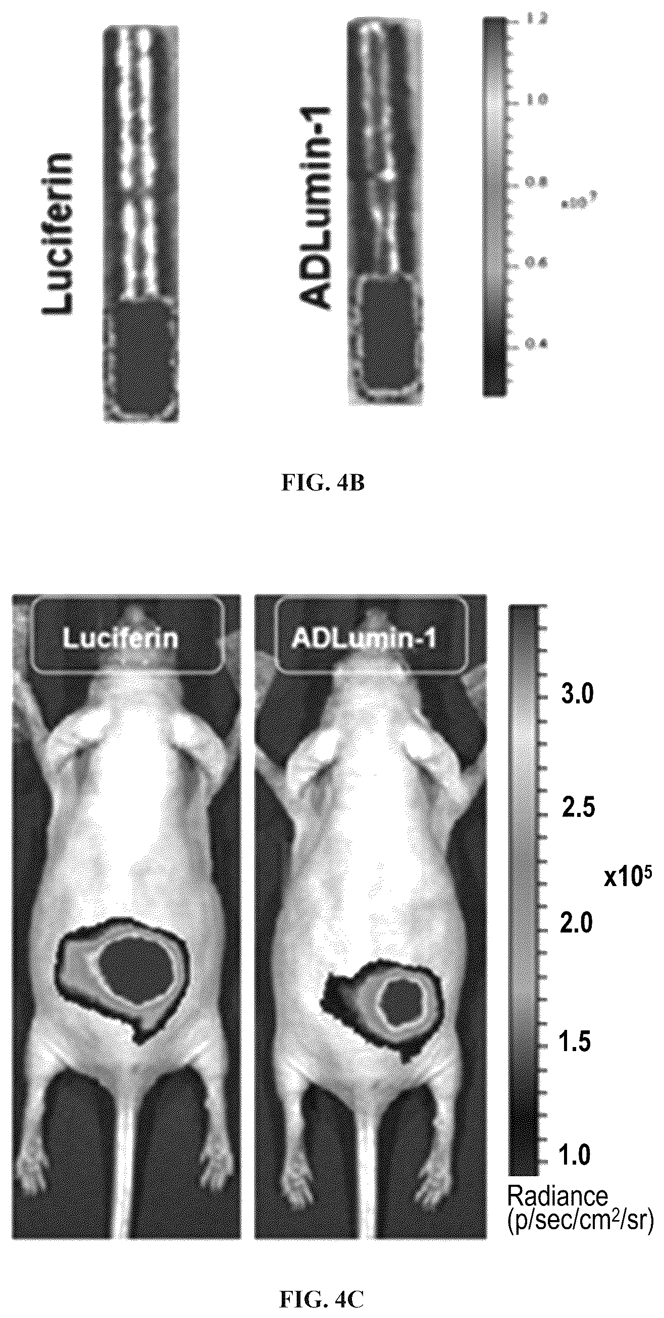 Patent US12551576 Figure 12 – Chemiluminescent probes