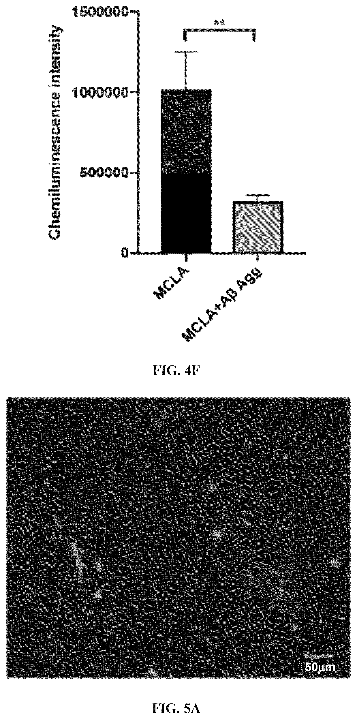 Patent US12551576 Figure 14 – Chemiluminescent probes