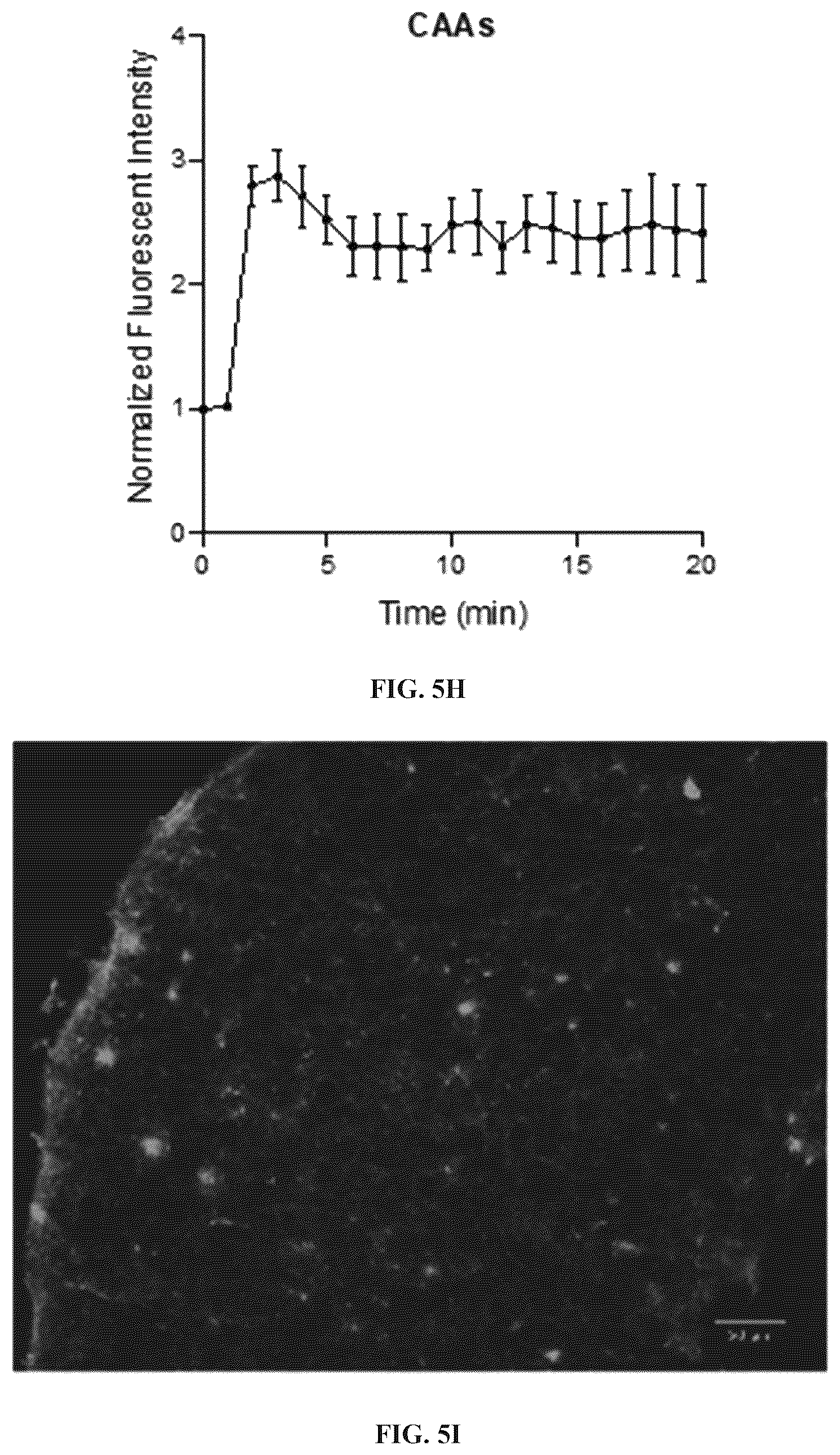 Patent US12551576 Figure 18 – Chemiluminescent probes