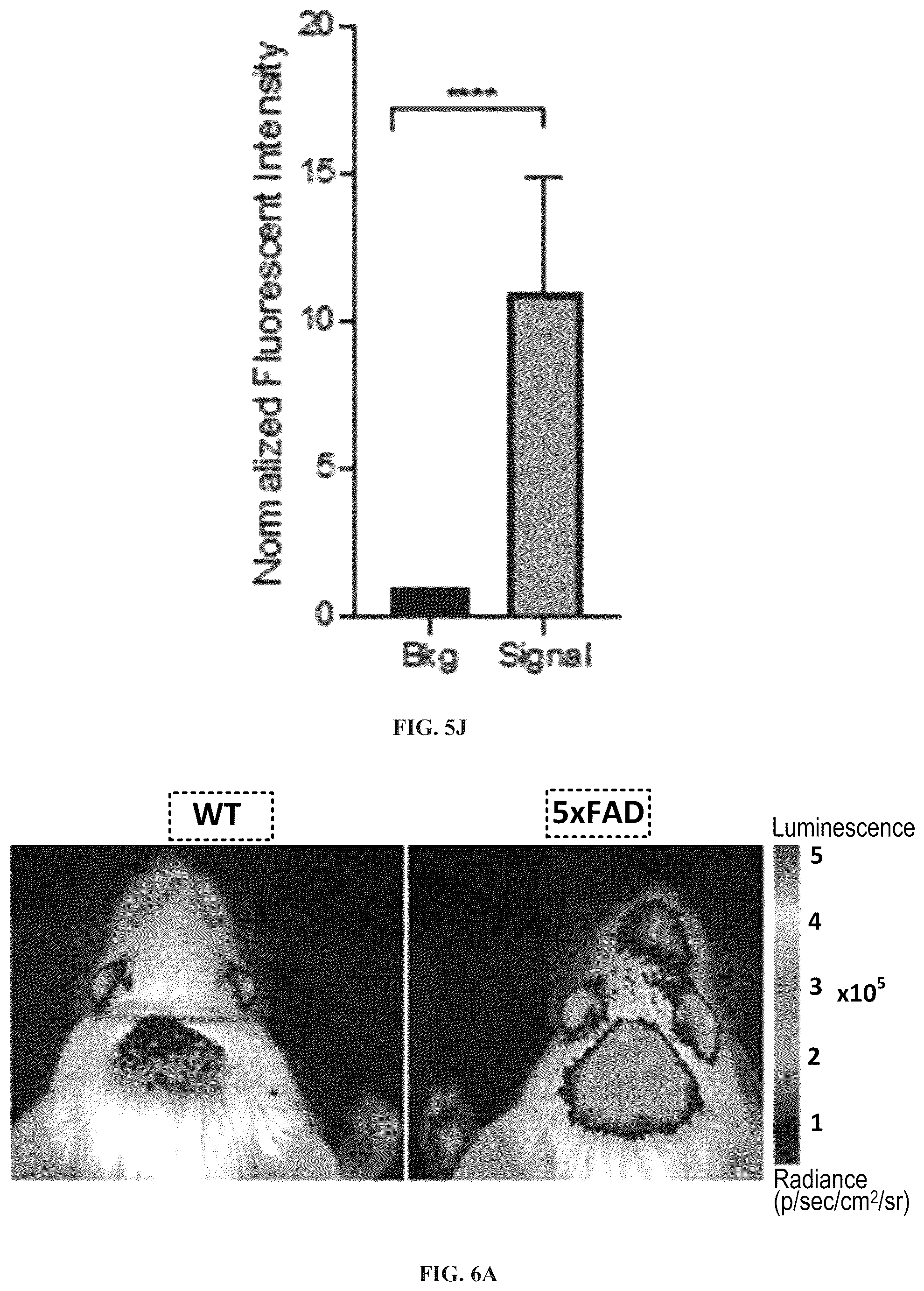 Patent US12551576 Figure 19 – Chemiluminescent probes