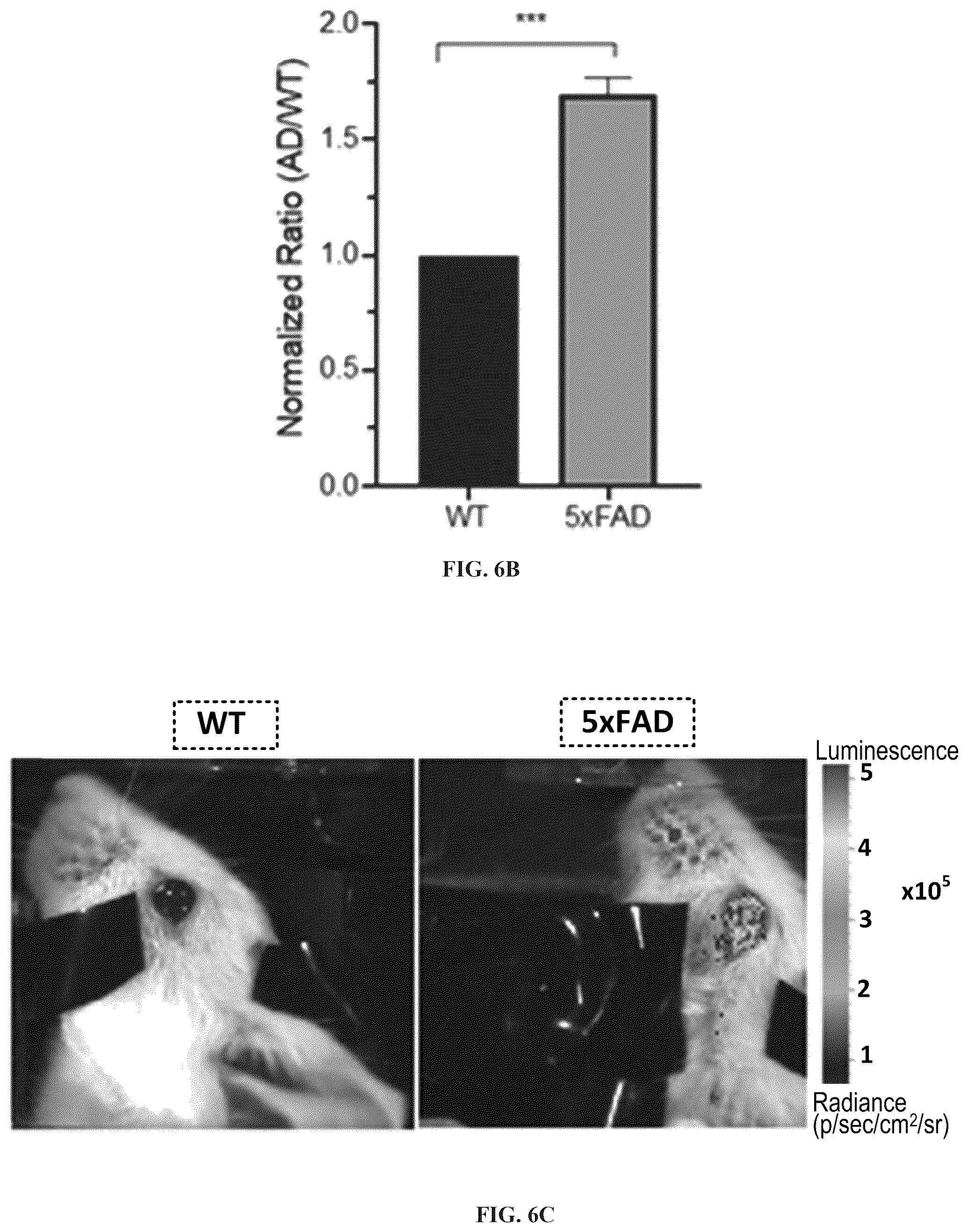 Patent US12551576 Figure 20 – Chemiluminescent probes