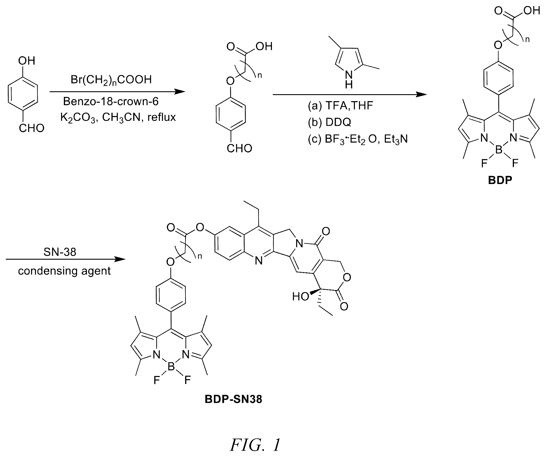 Patent US12551577 Figure 1 – 7-ethyl-10-hydroxycamptothecin drug precursor with fluorescence activity, and preparation method and use thereof