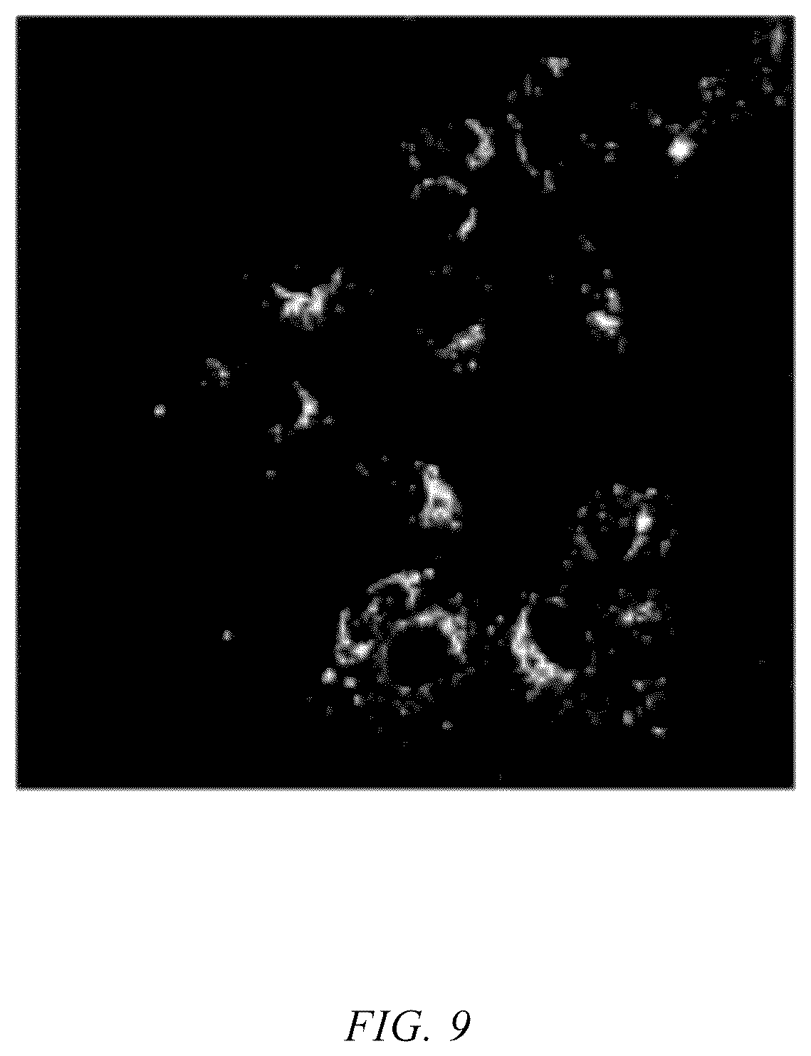 Patent US12551577 Figure 7 – 7-ethyl-10-hydroxycamptothecin drug precursor with fluorescence activity, and preparation method and use thereof