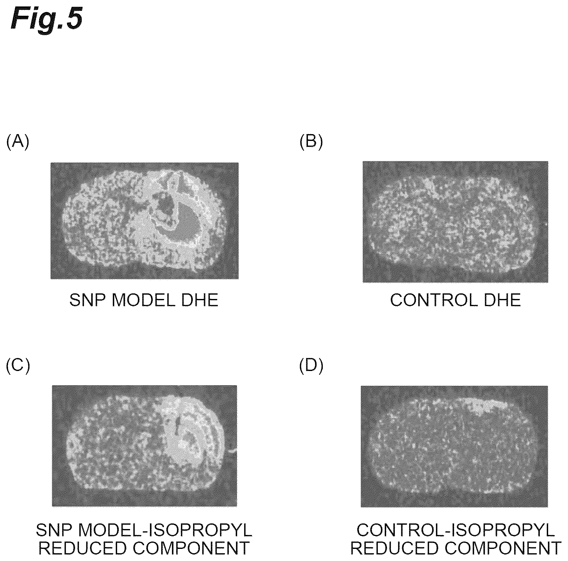 Patent US12551578 Figure 5 – Compound or salt thereof