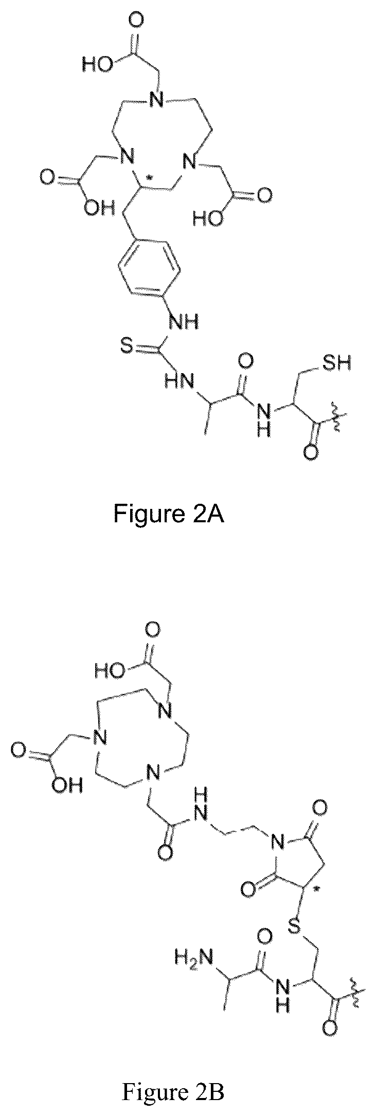 Patent US12551583 Figure 2 – Radiolabeled ligands for targeted PET/SPECT imaging and methods of their use