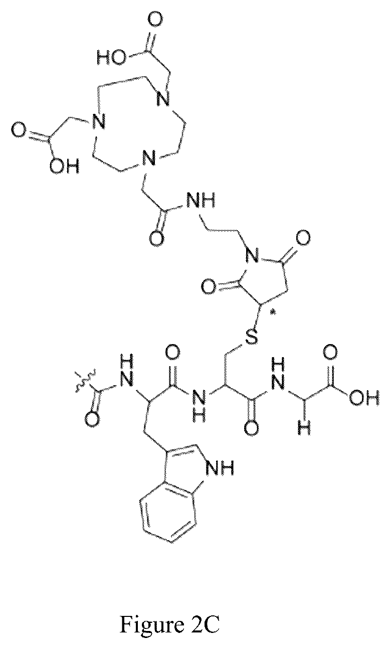 Patent US12551583 Figure 3 – Radiolabeled ligands for targeted PET/SPECT imaging and methods of their use