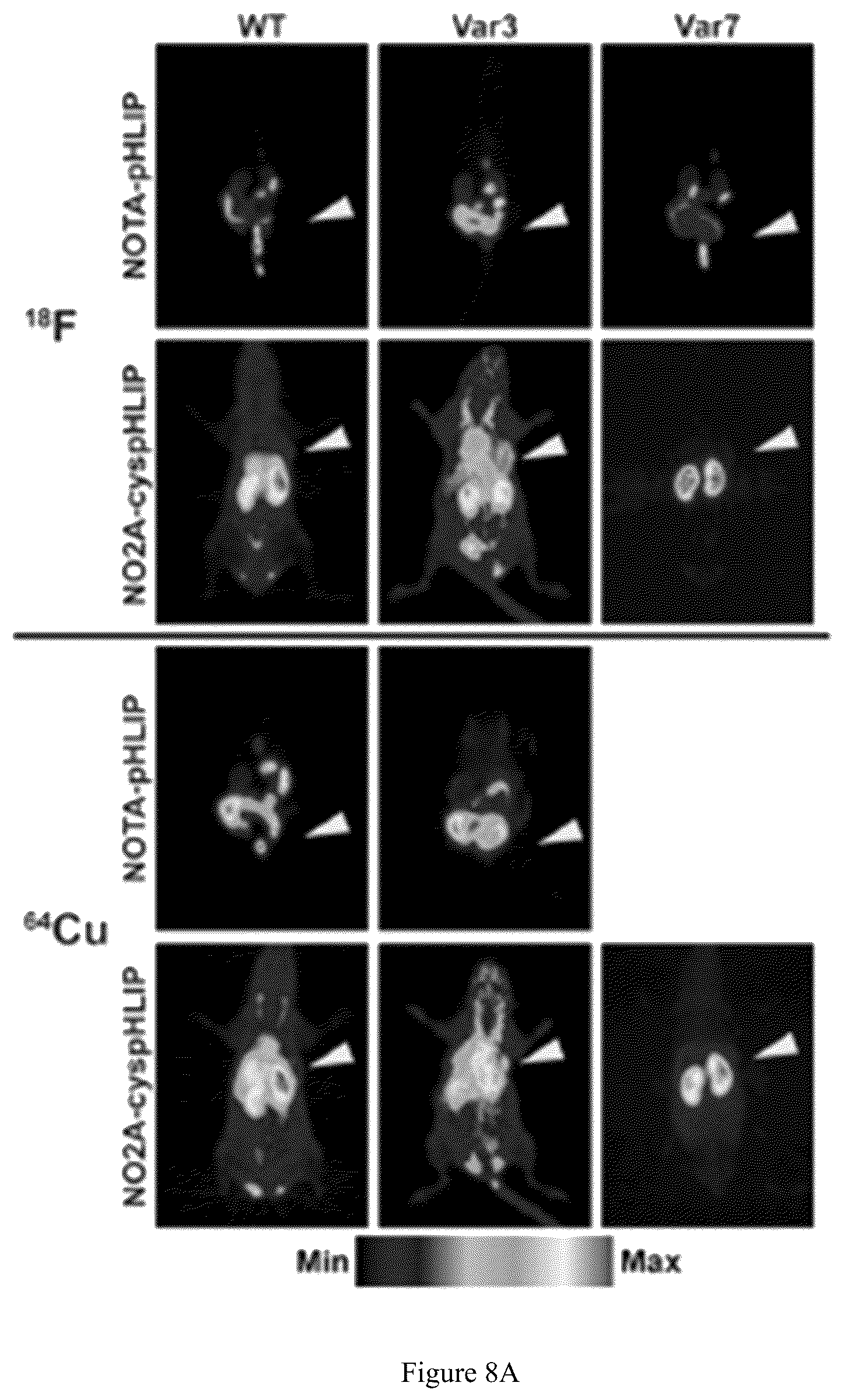 Patent US12551583 Figure 11 – Radiolabeled ligands for targeted PET/SPECT imaging and methods of their use