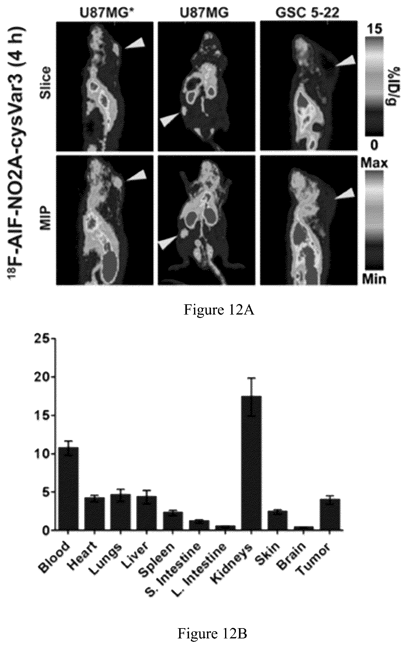 Patent US12551583 Figure 16 – Radiolabeled ligands for targeted PET/SPECT imaging and methods of their use