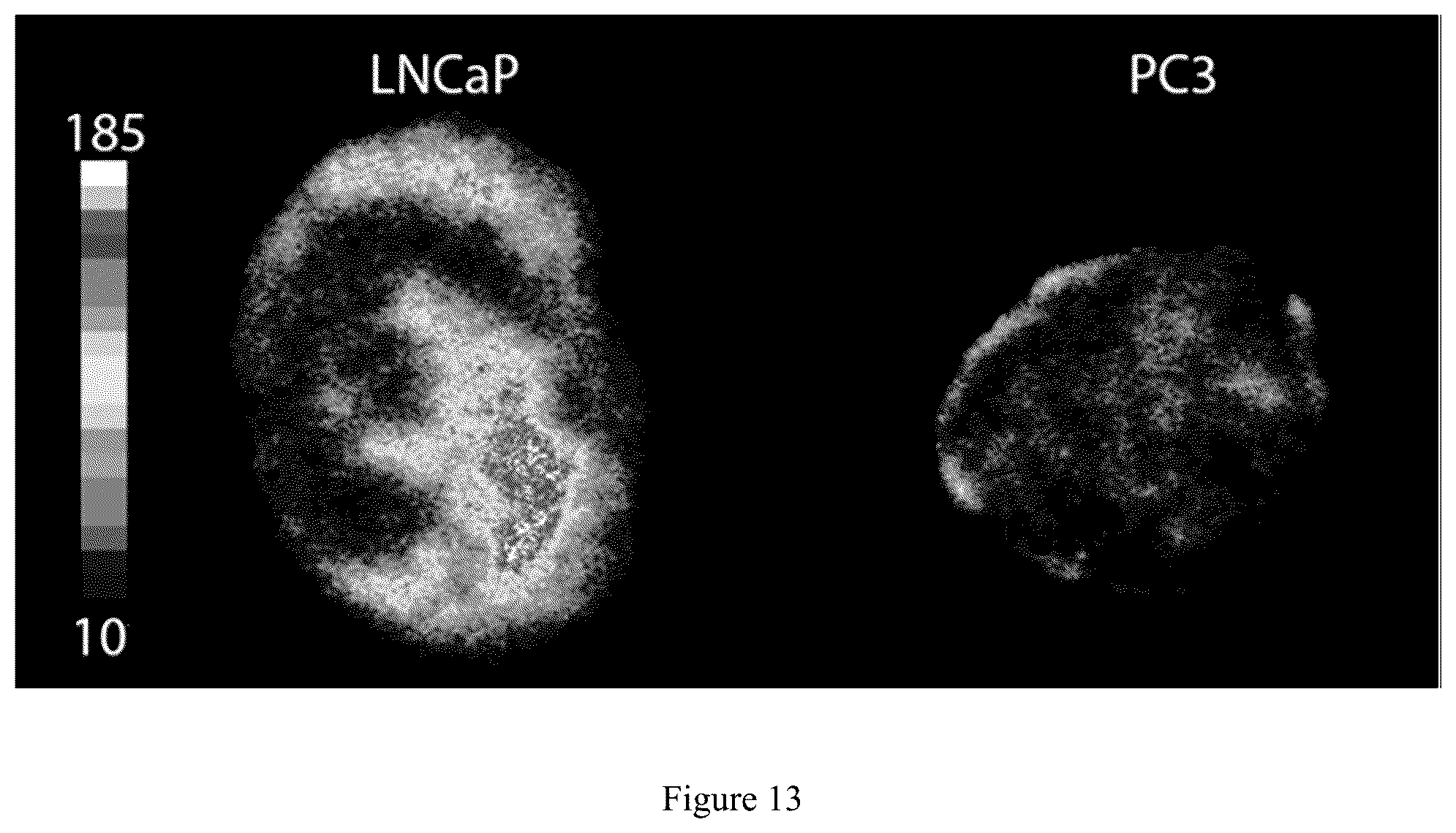 Patent US12551583 Figure 17 – Radiolabeled ligands for targeted PET/SPECT imaging and methods of their use