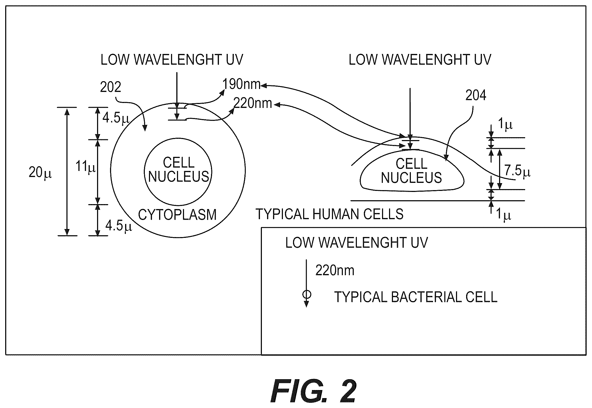 Patent US12551587 Figure 2 – Apparatus, method and system for selectively affecting and/or killing a virus
