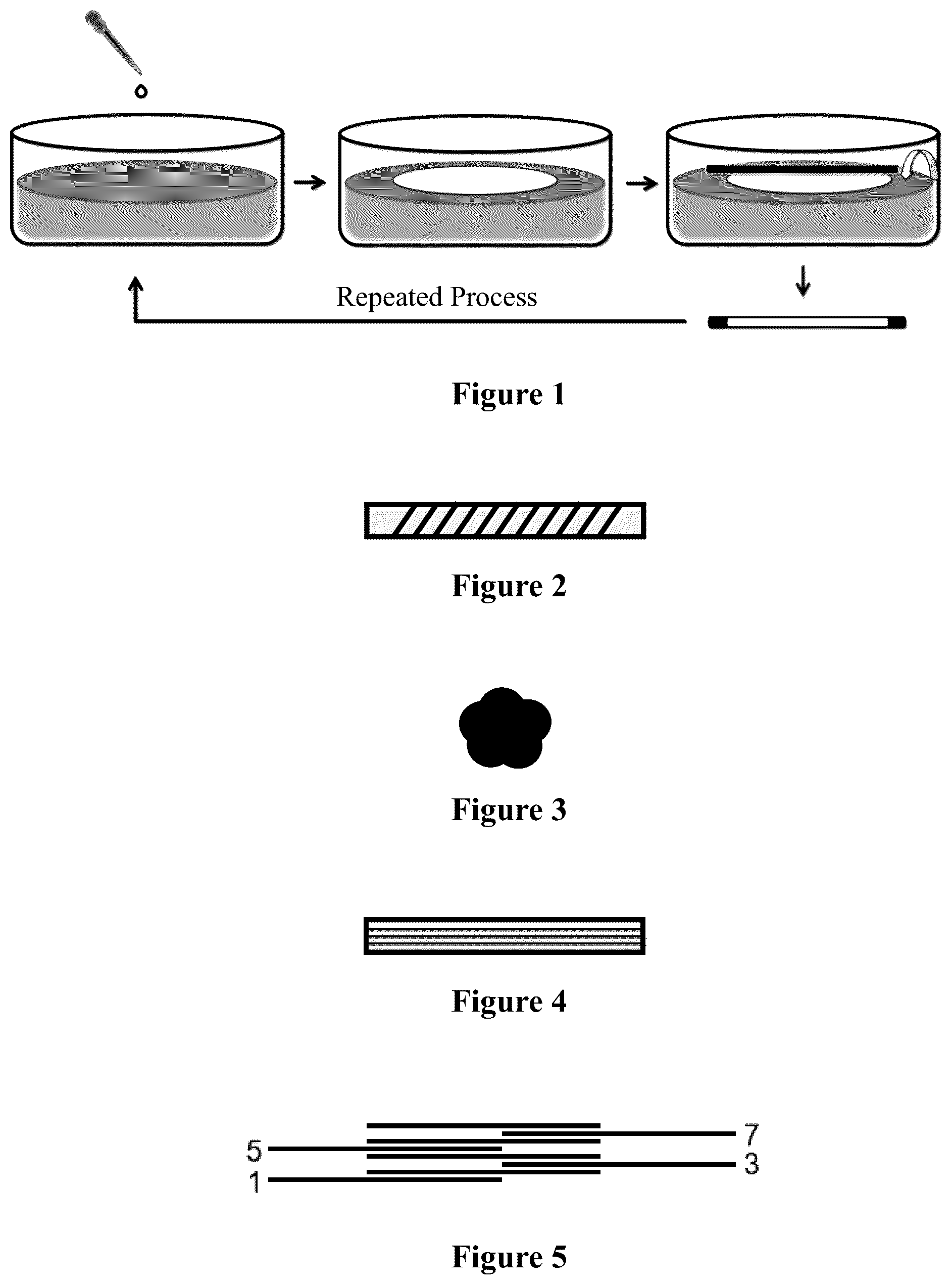 Patent US12551598 Figure 1 – Tubular material, preparation method therefor and use thereof