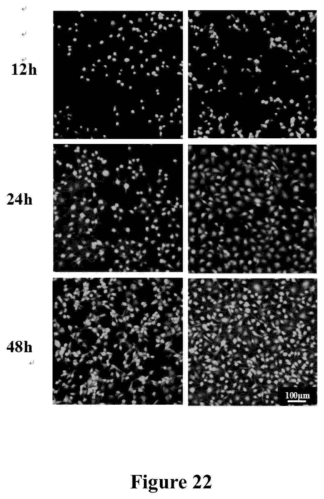 Patent US12551598 Figure 10 – Tubular material, preparation method therefor and use thereof