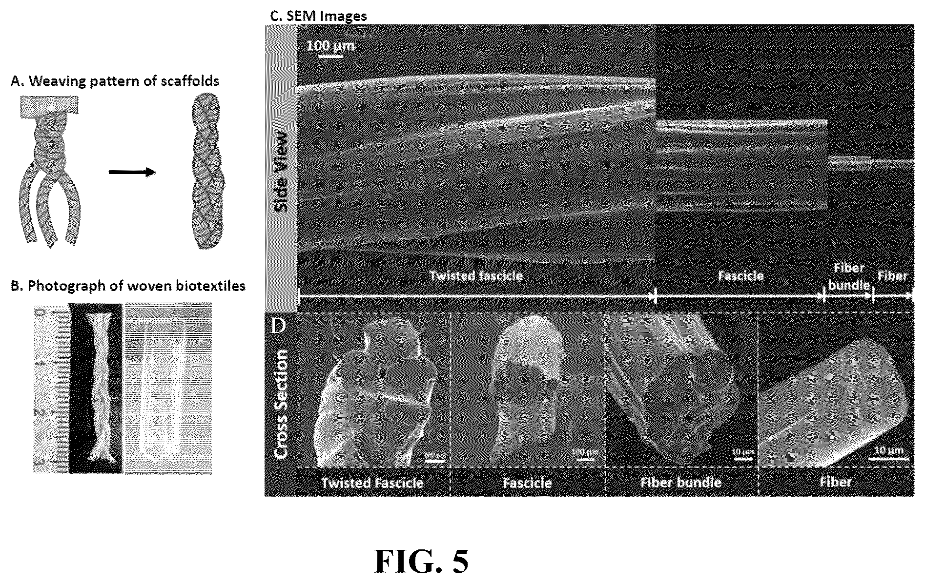 Patent US12551600 Figure 3 – Method for preparing artificial tendon and artificial tendon prepared therefrom