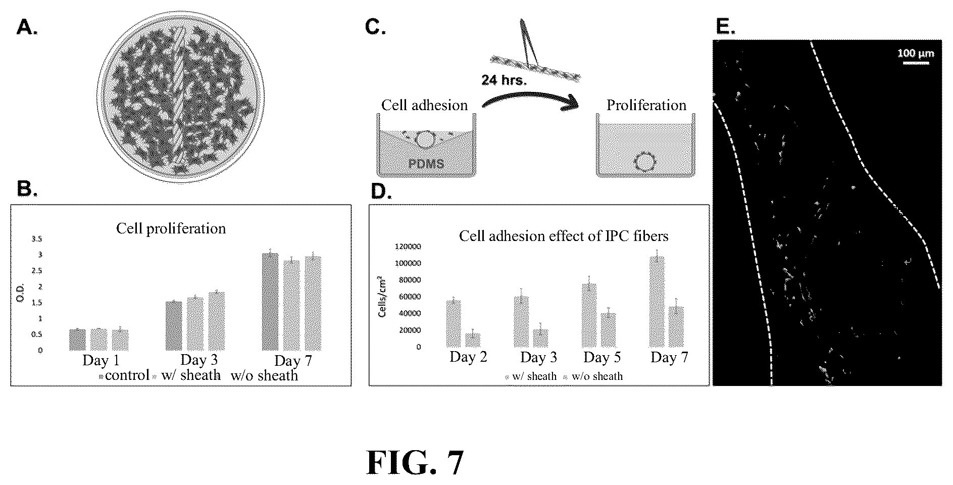 Patent US12551600 Figure 5 – Method for preparing artificial tendon and artificial tendon prepared therefrom