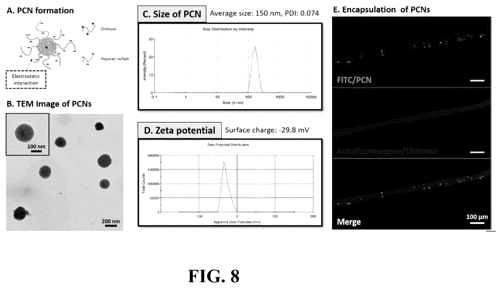 Patent US12551600 Figure 6 – Method for preparing artificial tendon and artificial tendon prepared therefrom