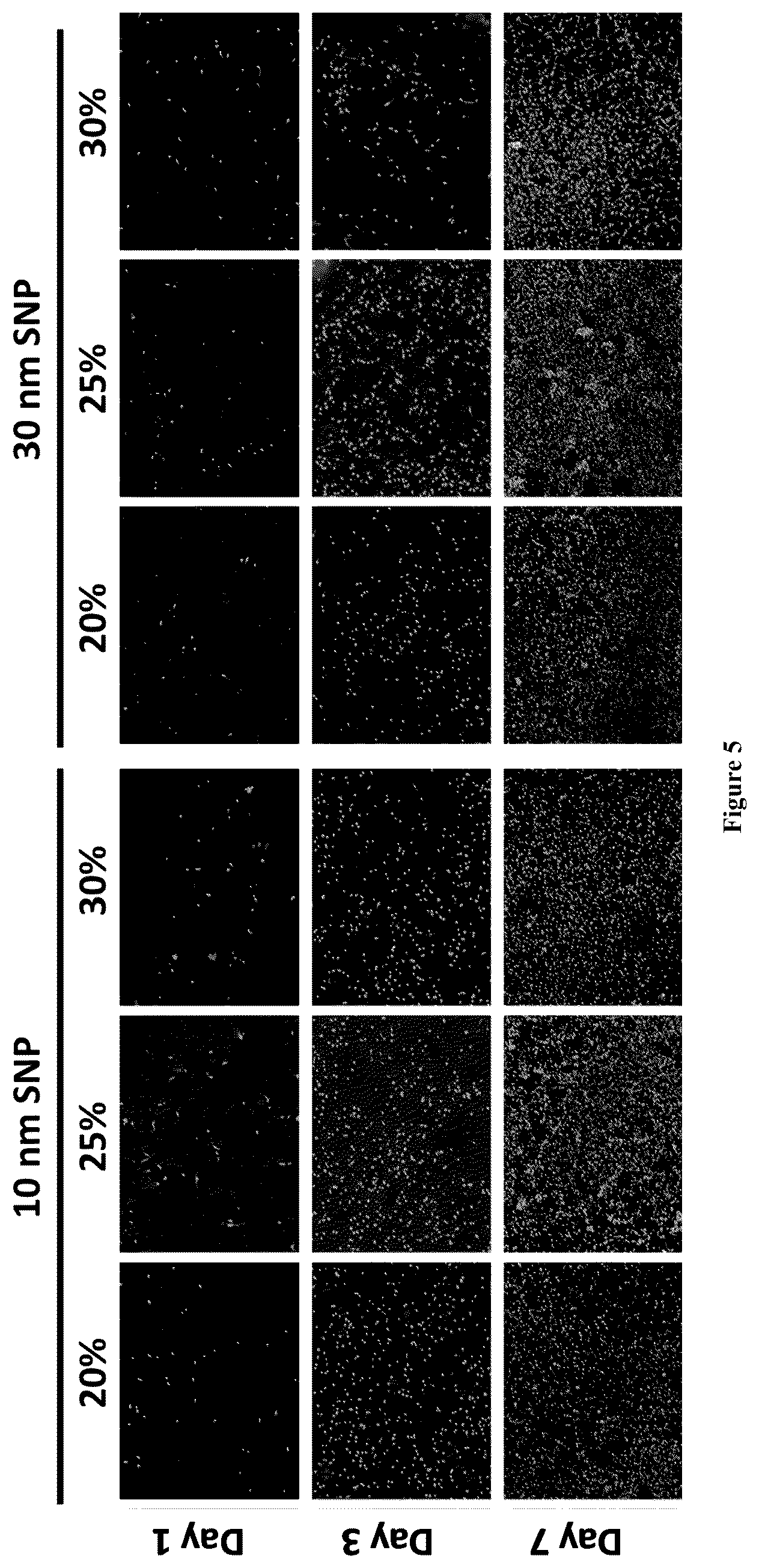 Patent US12551602 Figure 5 – Nanoengineering of shear-thinning biomaterials