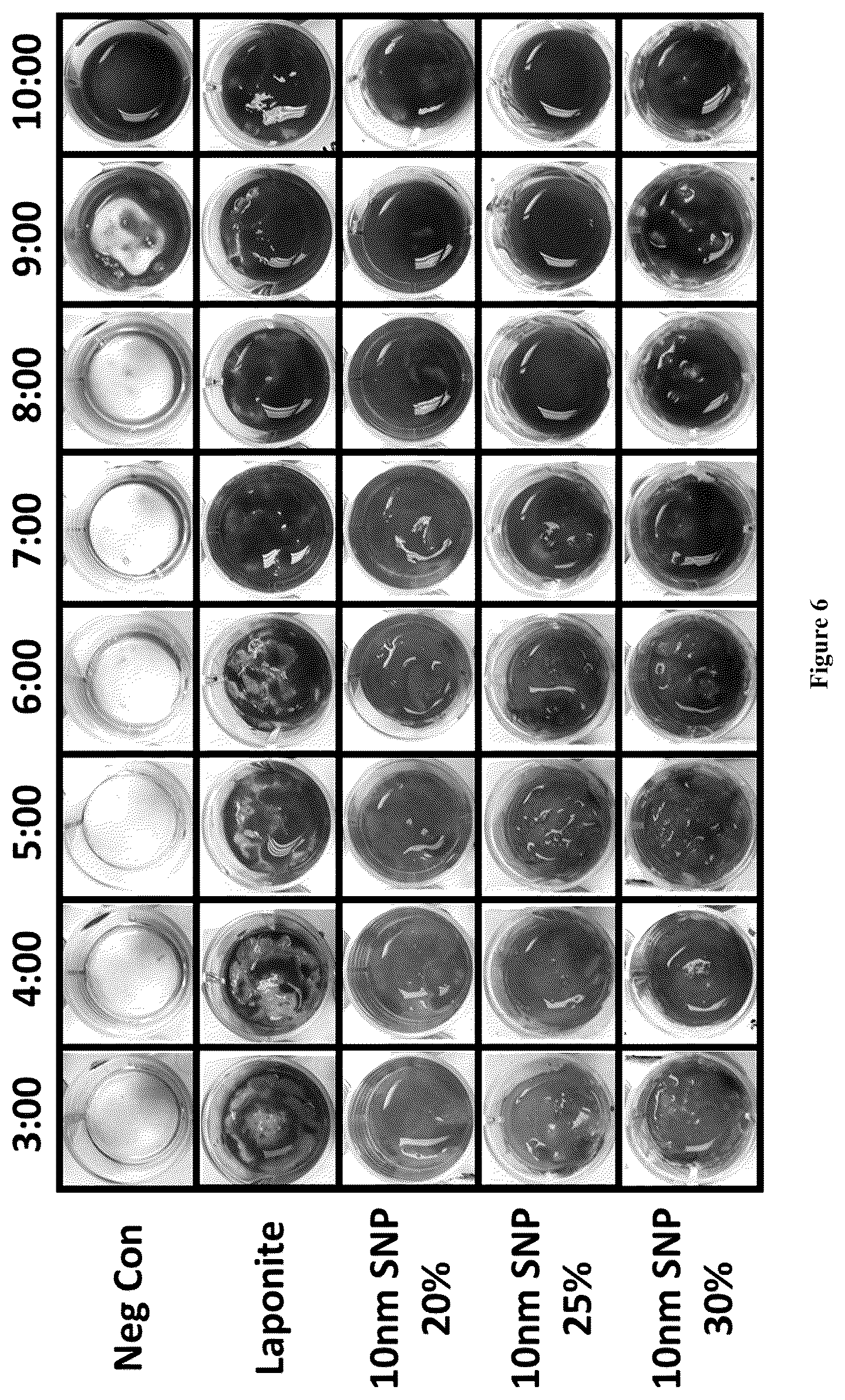 Patent US12551602 Figure 6 – Nanoengineering of shear-thinning biomaterials