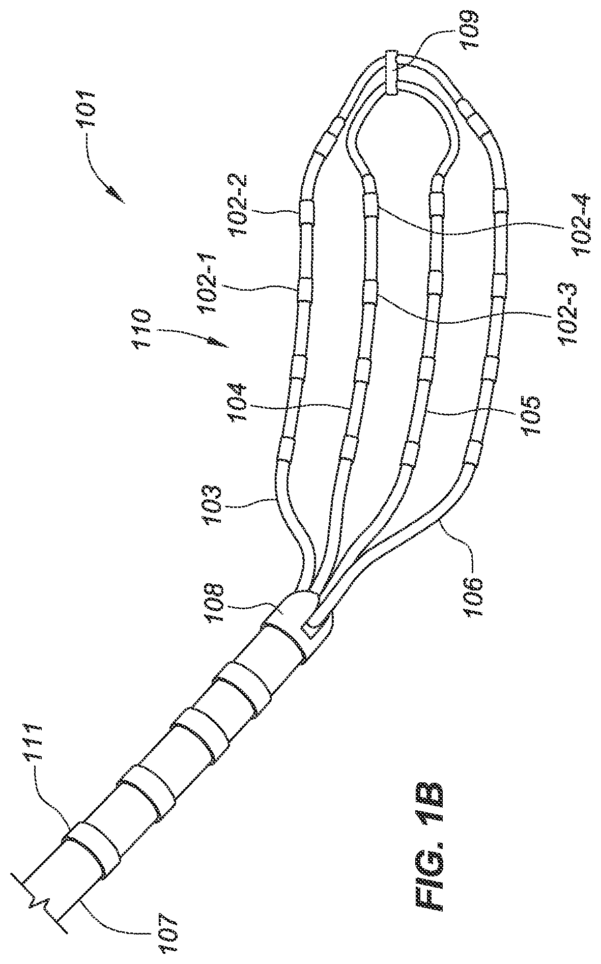 Patent US12551656 Figure 2 – Layered high density electrode mapping catheter