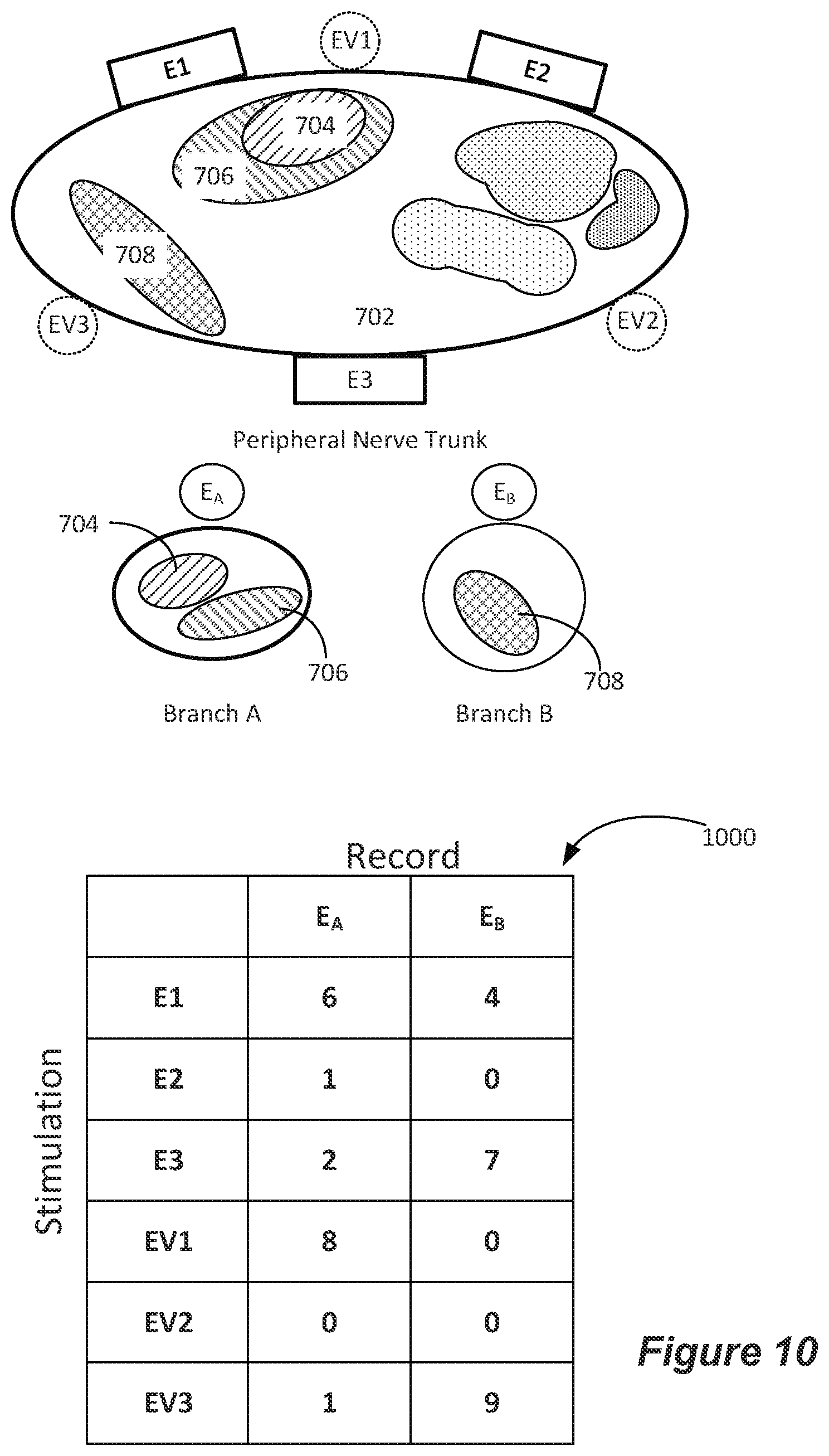 Patent US12551702 Figure 9 – Selective stimulation of peripheral nerves