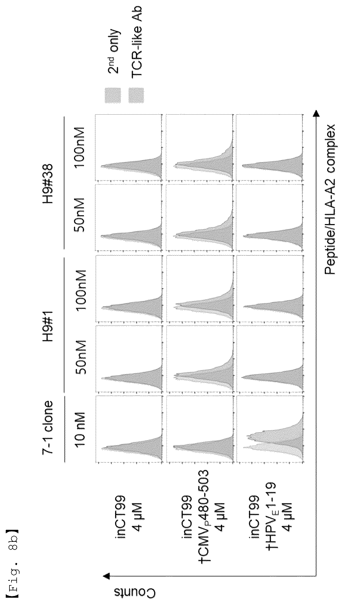 Patent US12551733 Figure 13 – Fusion antibody for presenting antigen-derived T cell antigen epitope or peptide containing same on cell surface, and composition comprising same