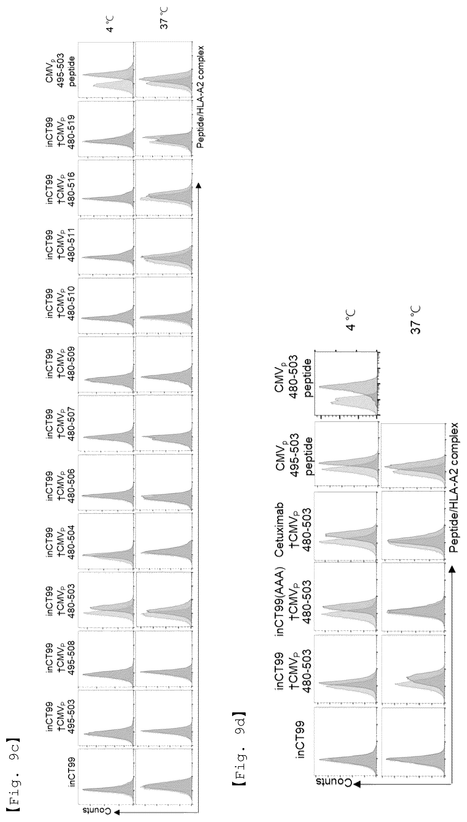 Patent US12551733 Figure 17 – Fusion antibody for presenting antigen-derived T cell antigen epitope or peptide containing same on cell surface, and composition comprising same