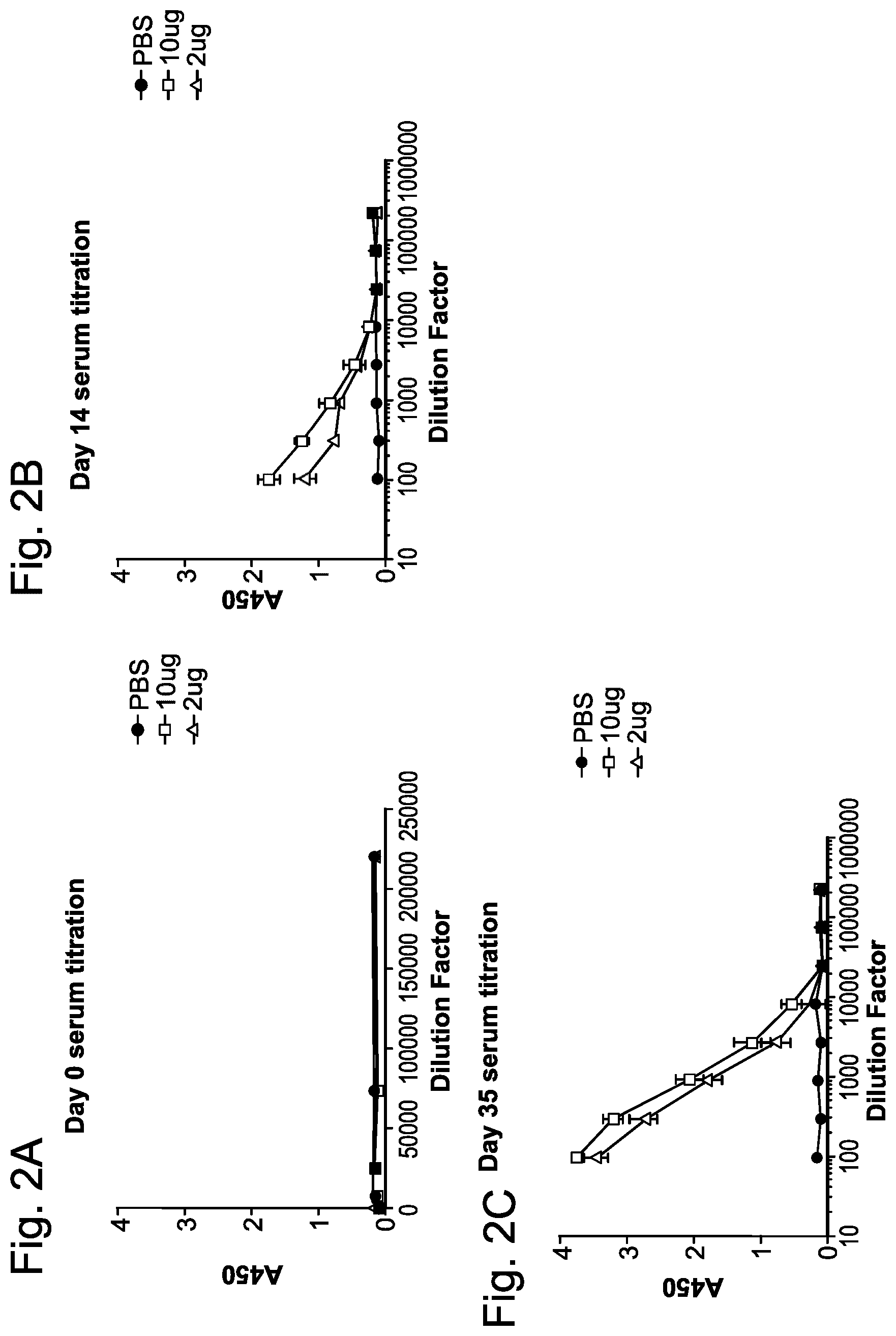 Patent US12551734 Figure 2 – Betacoronavirus mRNA vaccines