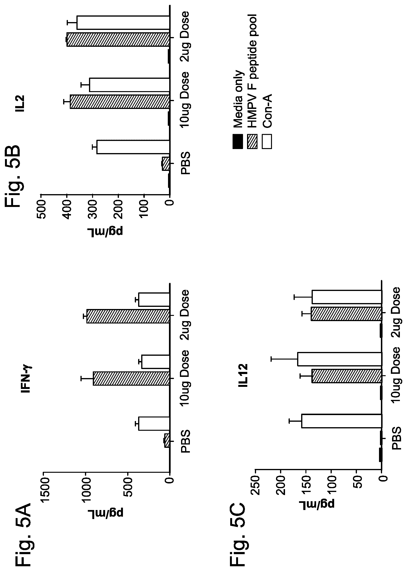 Patent US12551734 Figure 5 – Betacoronavirus mRNA vaccines