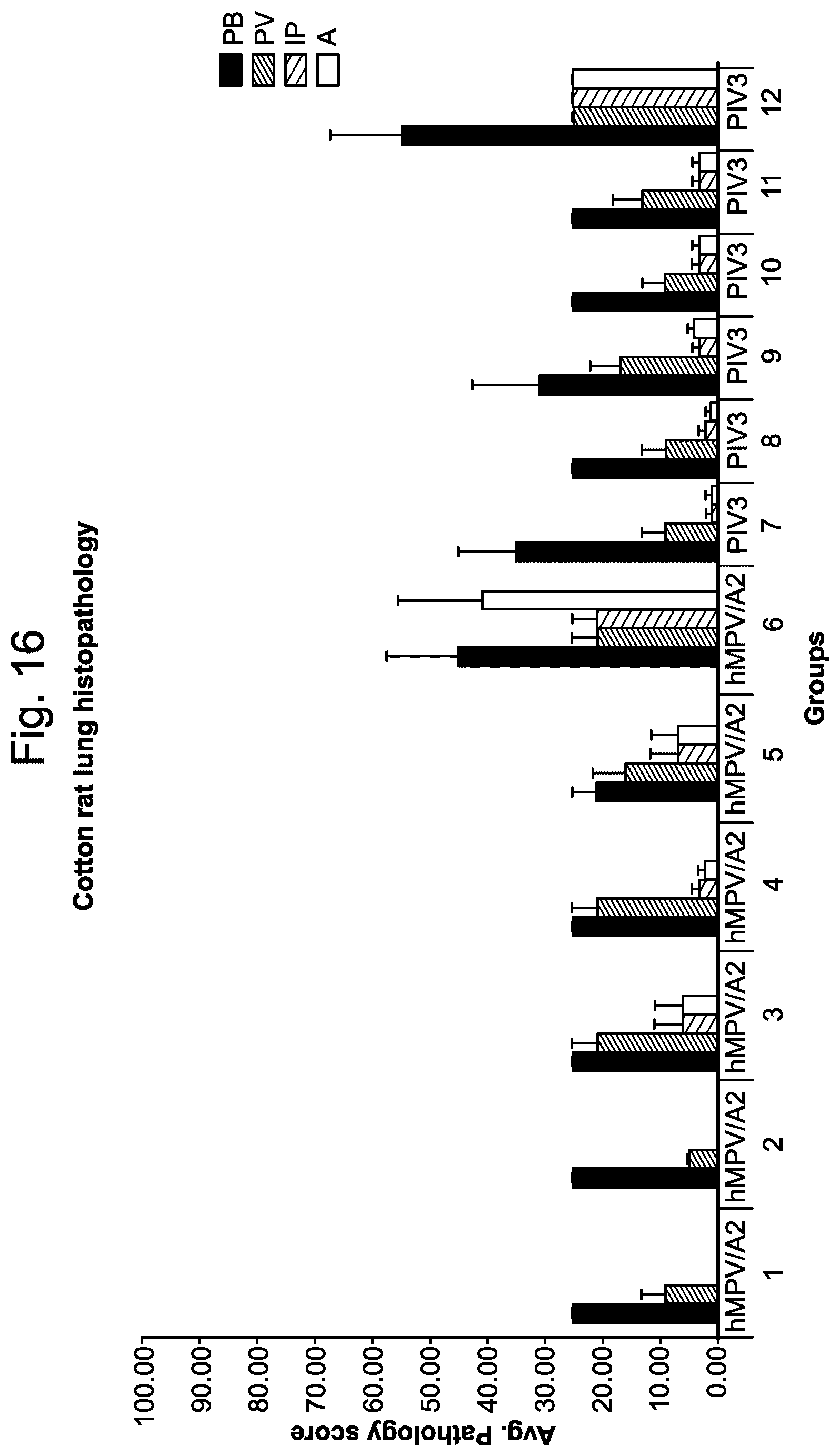 Patent US12551734 Figure 16 – Betacoronavirus mRNA vaccines