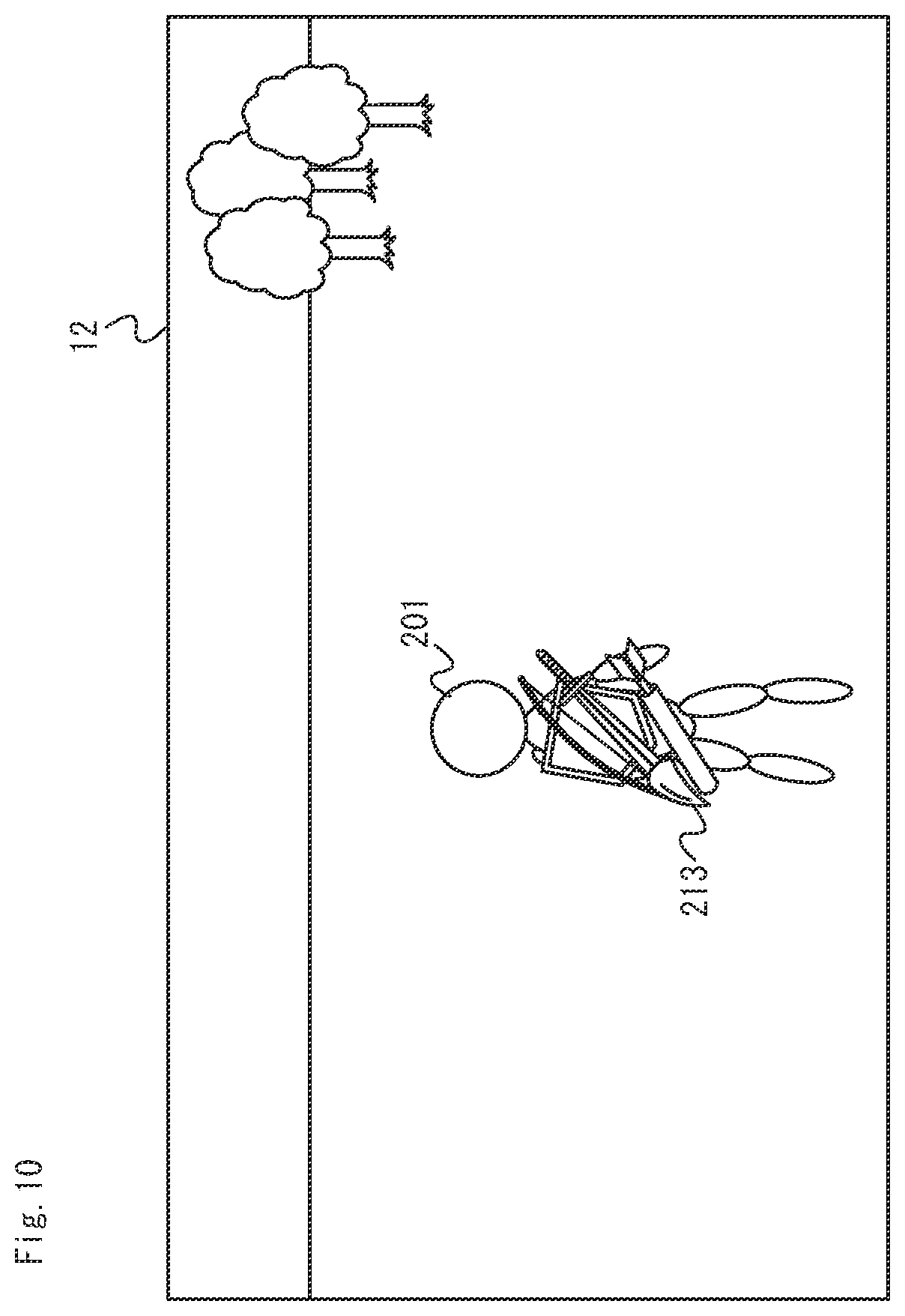 Patent US12551798 Figure 10 – Storage medium, information processing system, information processing apparatus, and game processing method