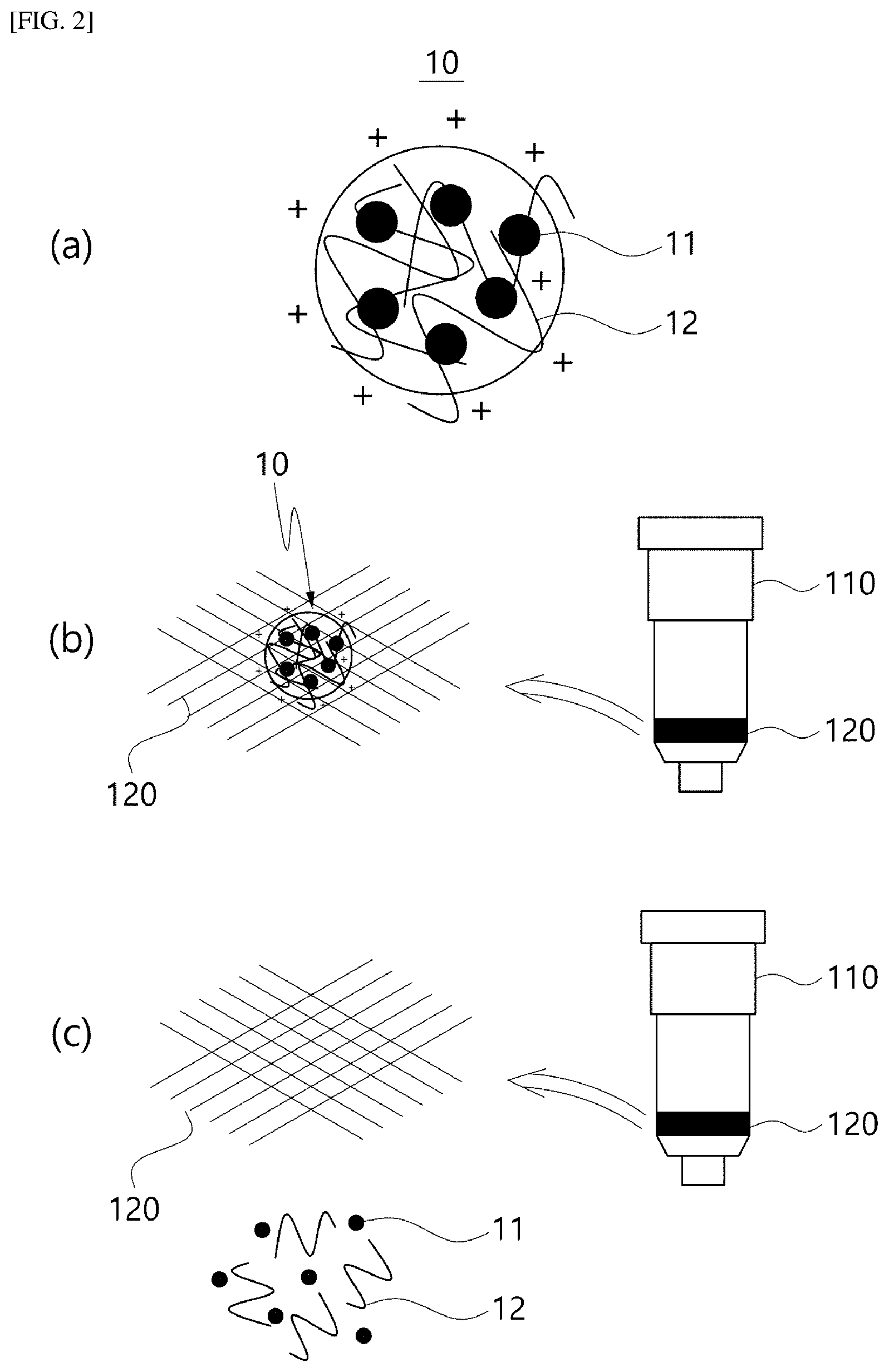 Patent US12551828 Figure 2 – Method for extracting microvesicles from biological sample