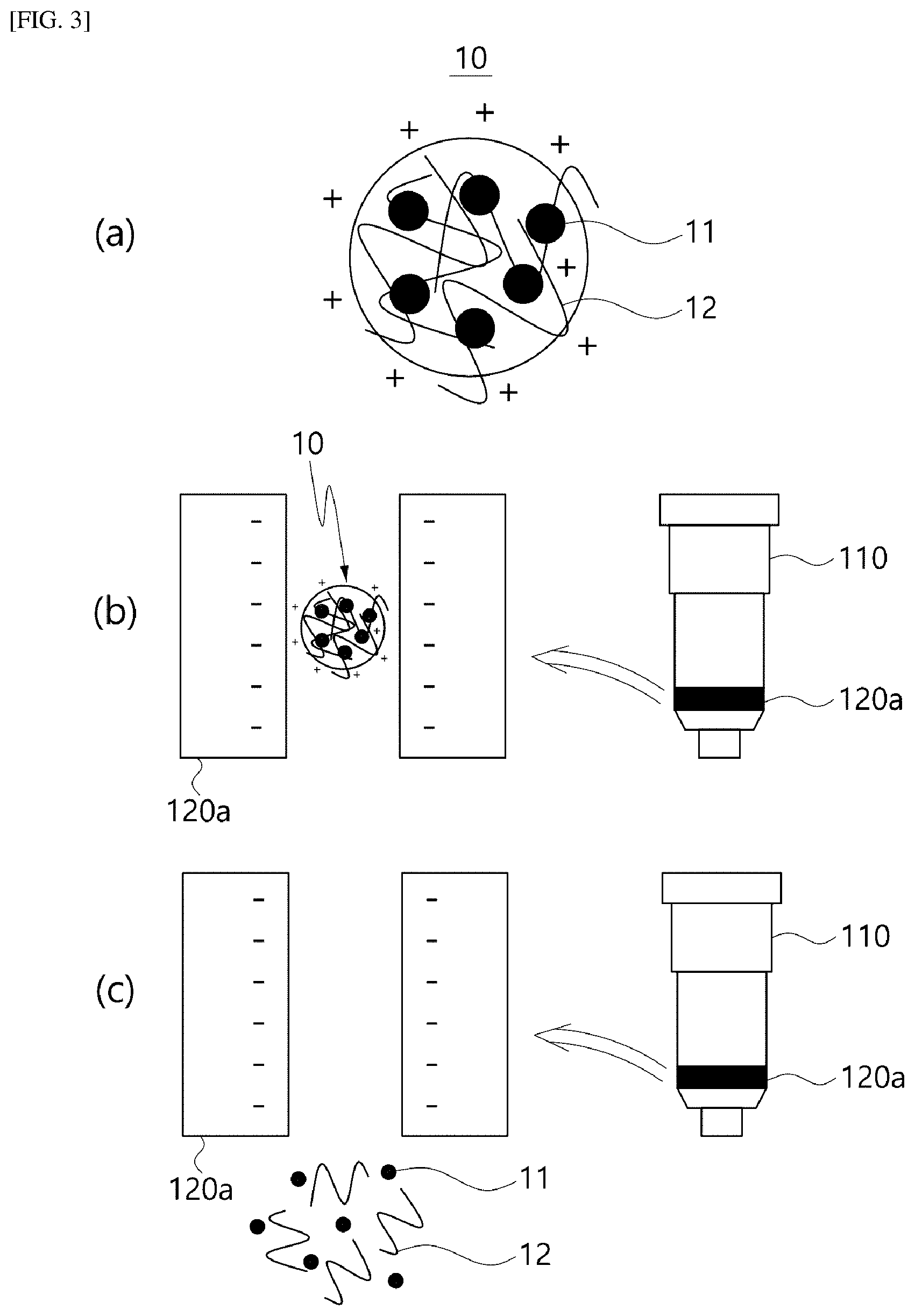 Patent US12551828 Figure 3 – Method for extracting microvesicles from biological sample
