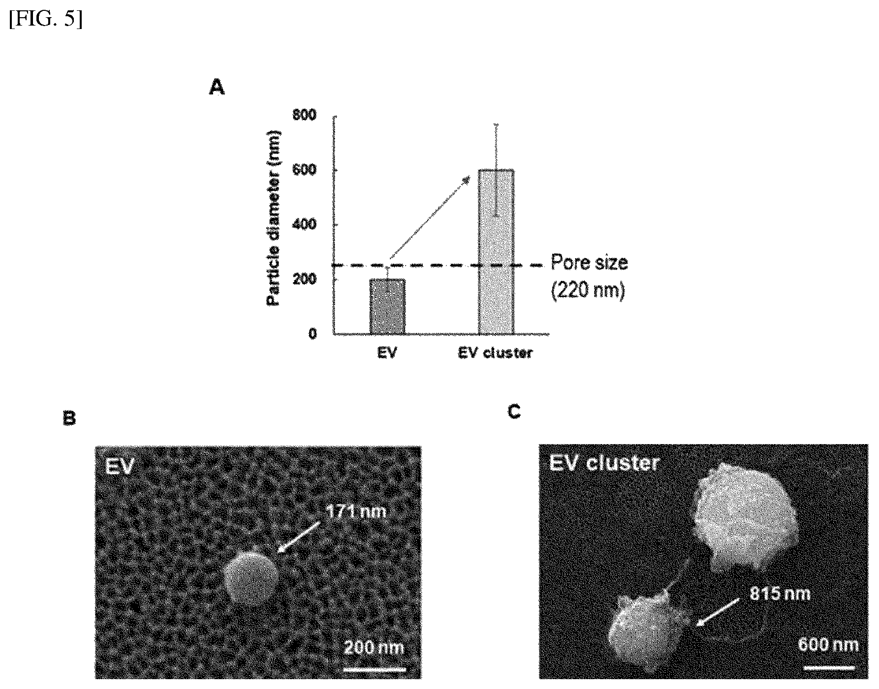 Patent US12551828 Figure 5 – Method for extracting microvesicles from biological sample