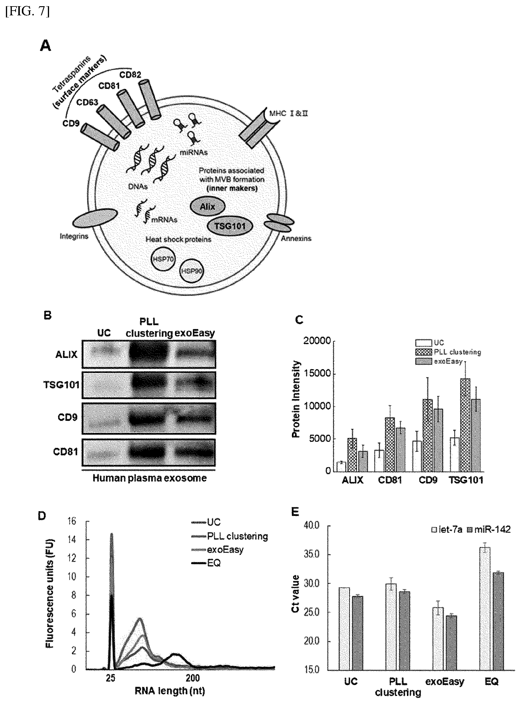 Patent US12551828 Figure 7 – Method for extracting microvesicles from biological sample