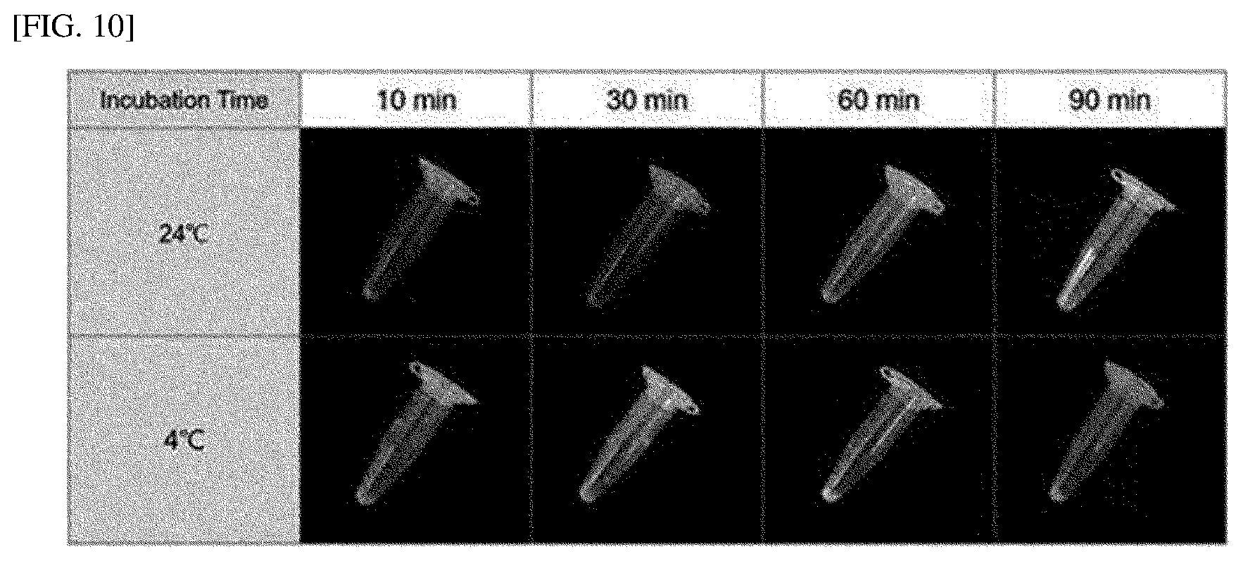 Patent US12551828 Figure 10 – Method for extracting microvesicles from biological sample
