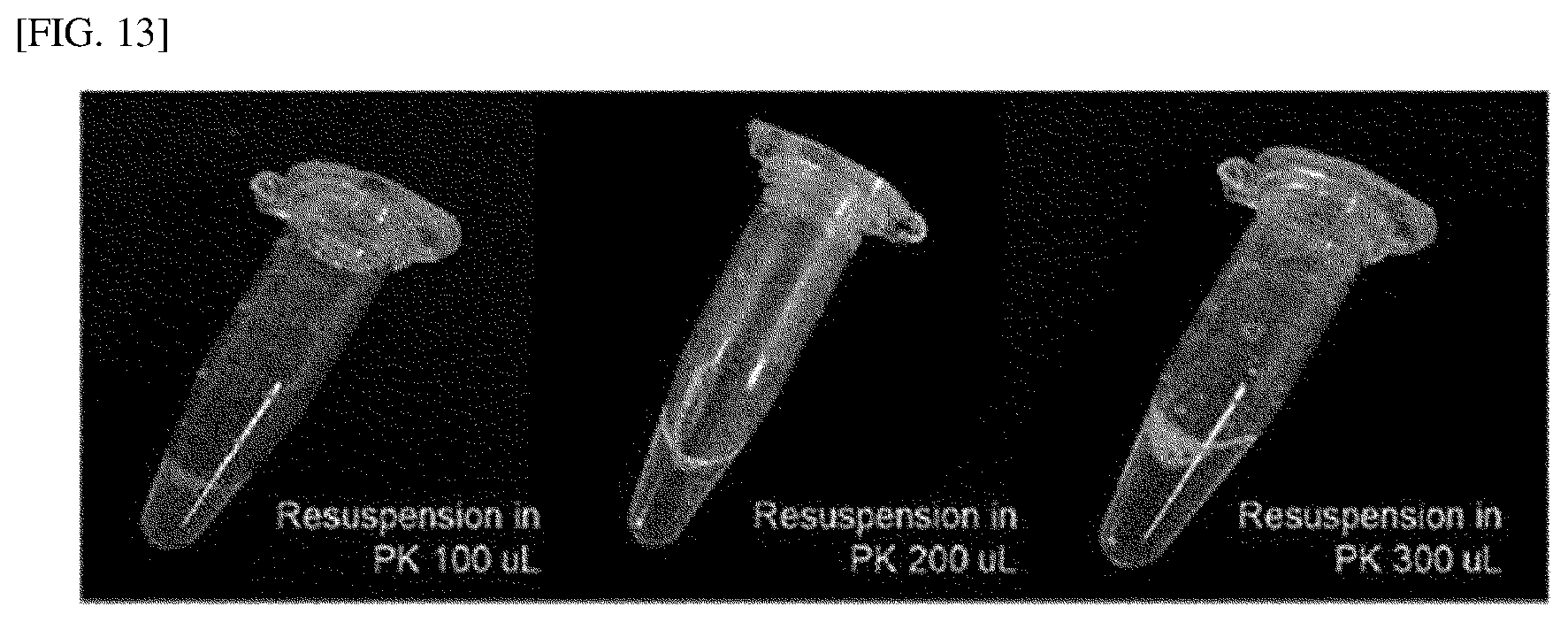 Patent US12551828 Figure 13 – Method for extracting microvesicles from biological sample