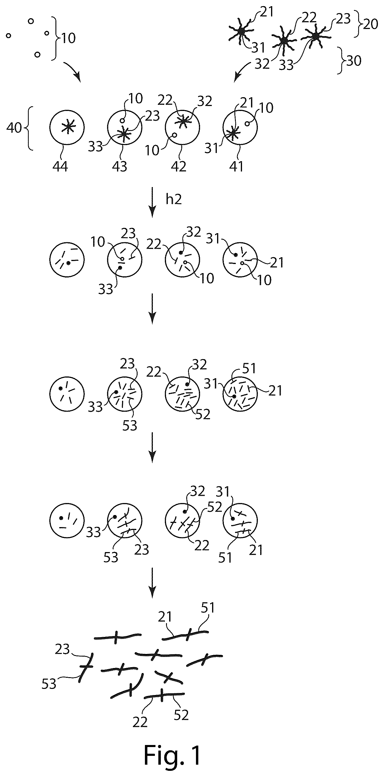 Patent US12551860 Figure 1 – Systems and methods for barcoding nucleic acids