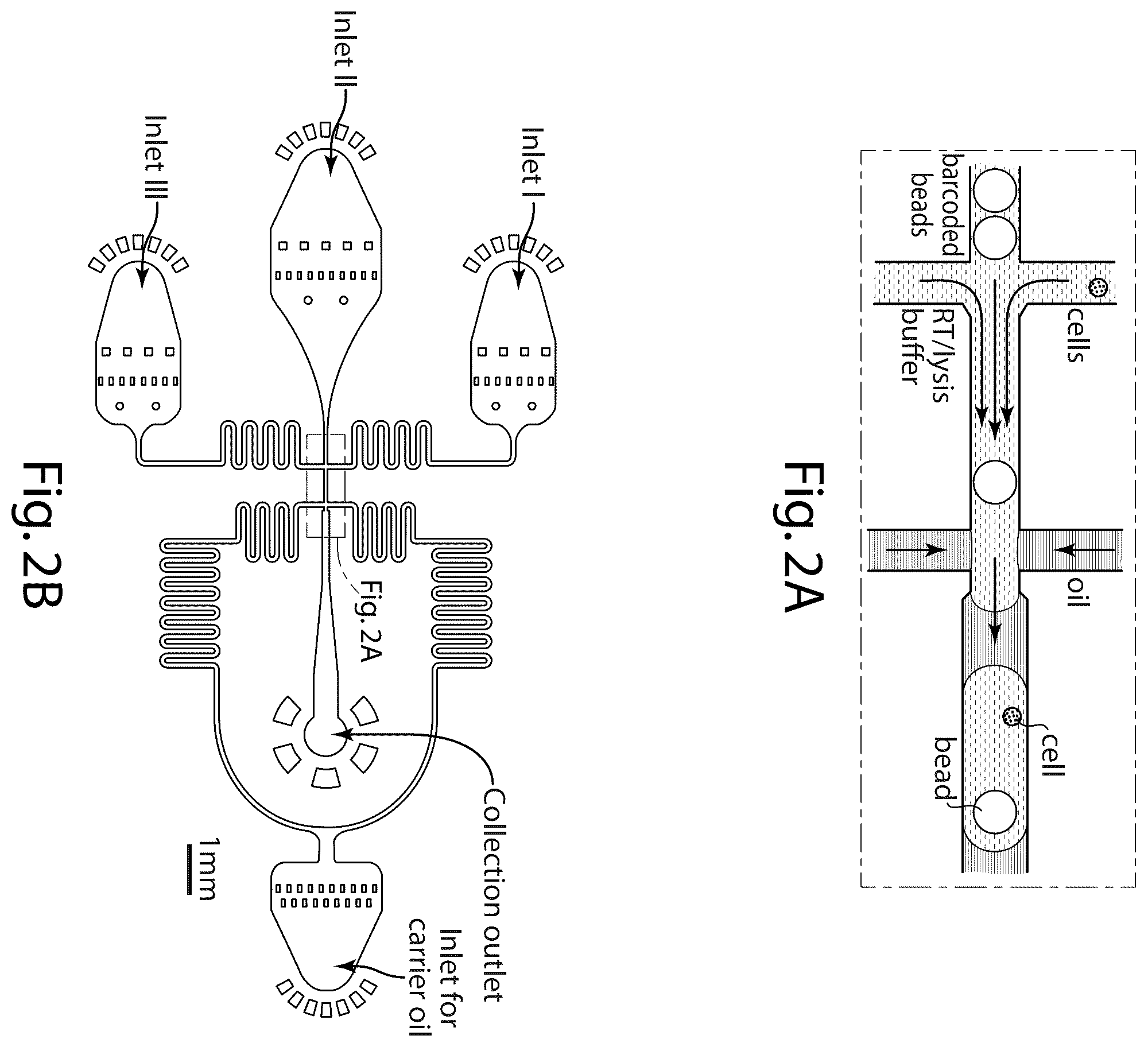 Patent US12551860 Figure 2 – Systems and methods for barcoding nucleic acids