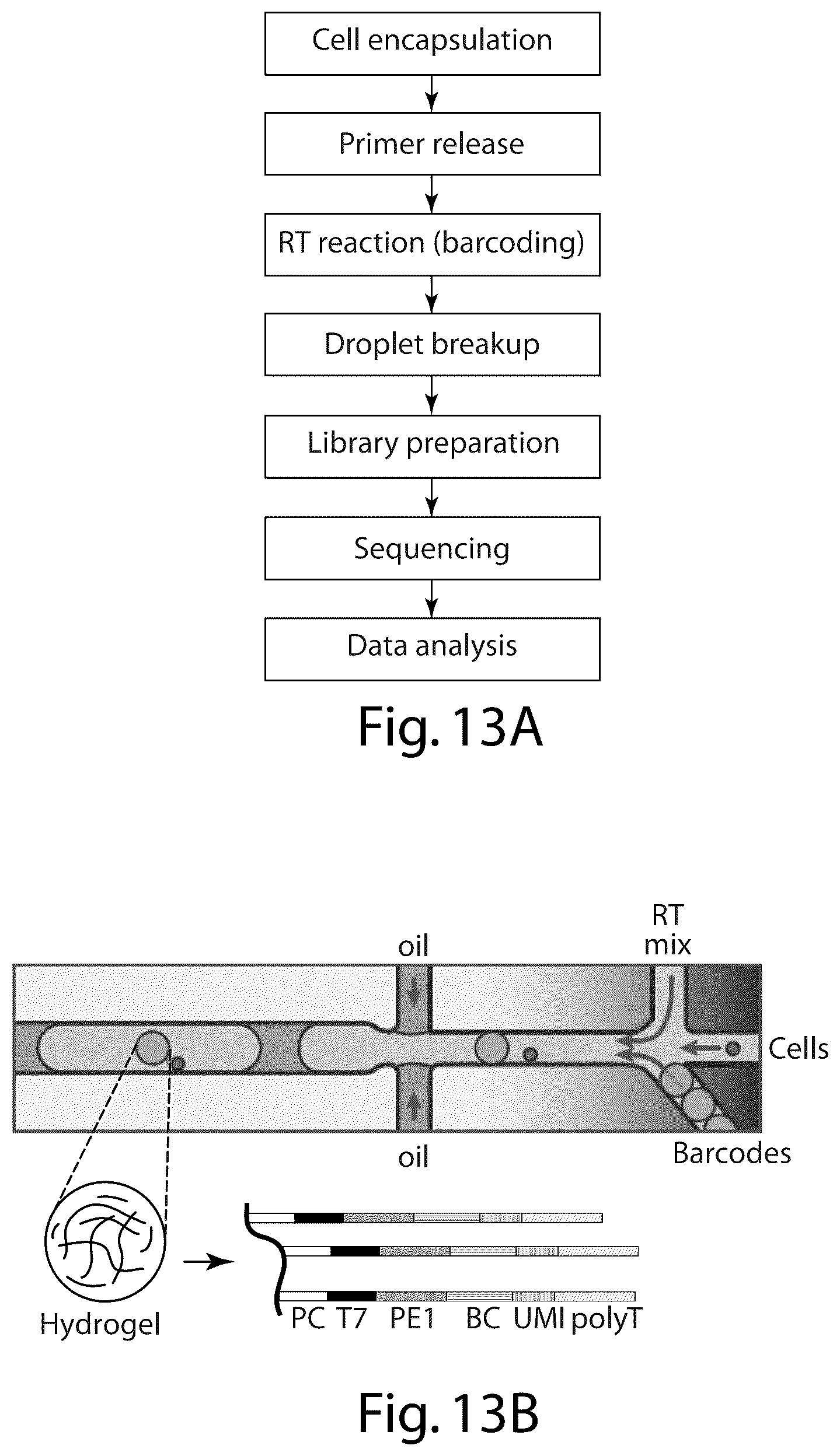 Patent US12551860 Figure 7 – Systems and methods for barcoding nucleic acids