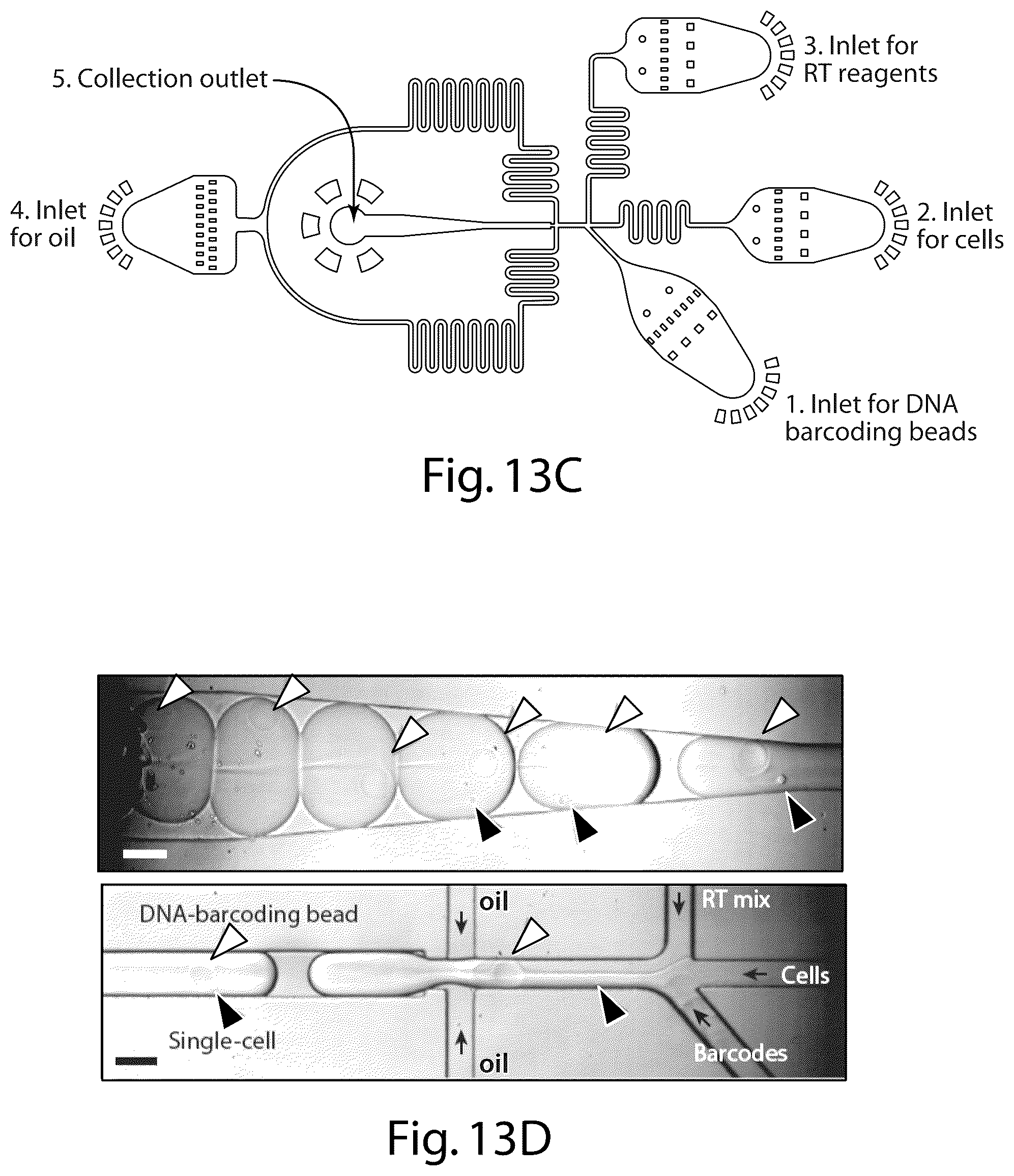 Patent US12551860 Figure 8 – Systems and methods for barcoding nucleic acids