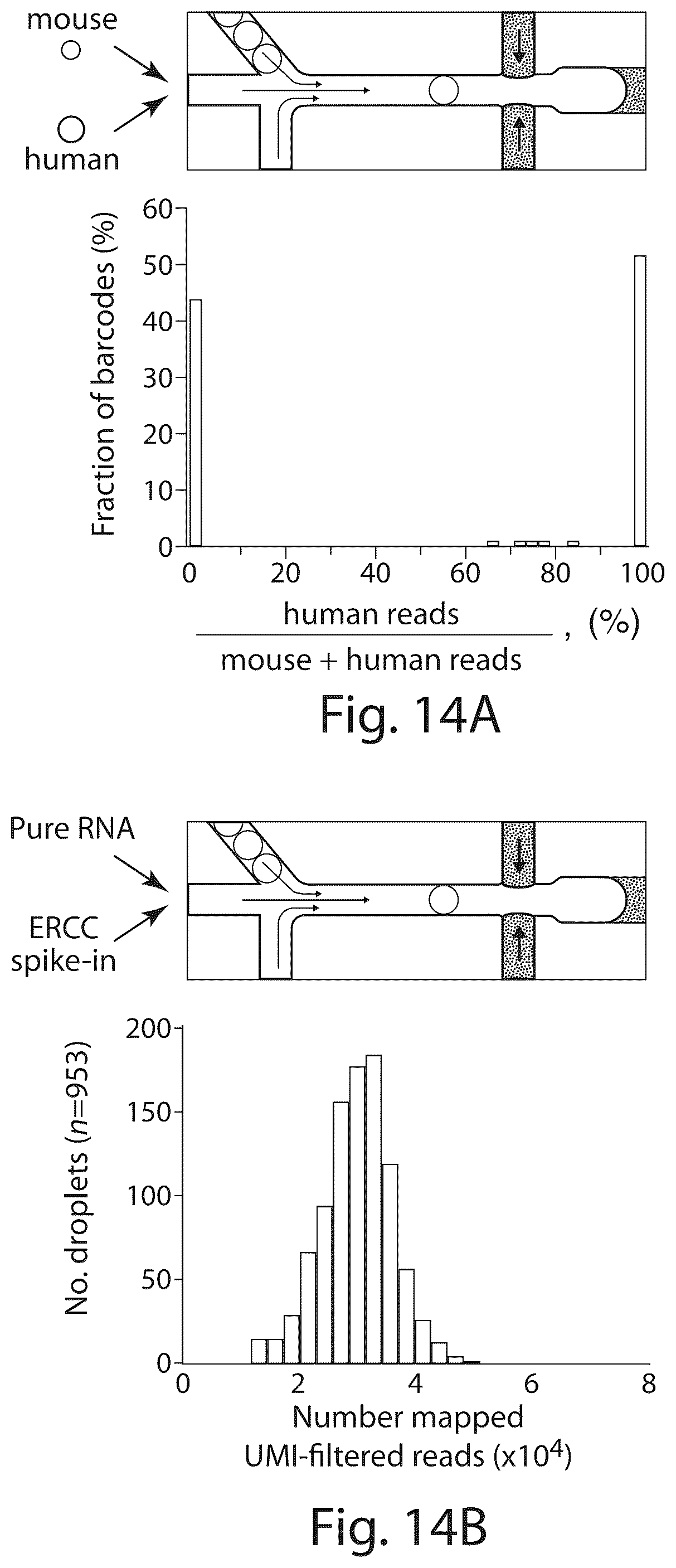Patent US12551860 Figure 10 – Systems and methods for barcoding nucleic acids