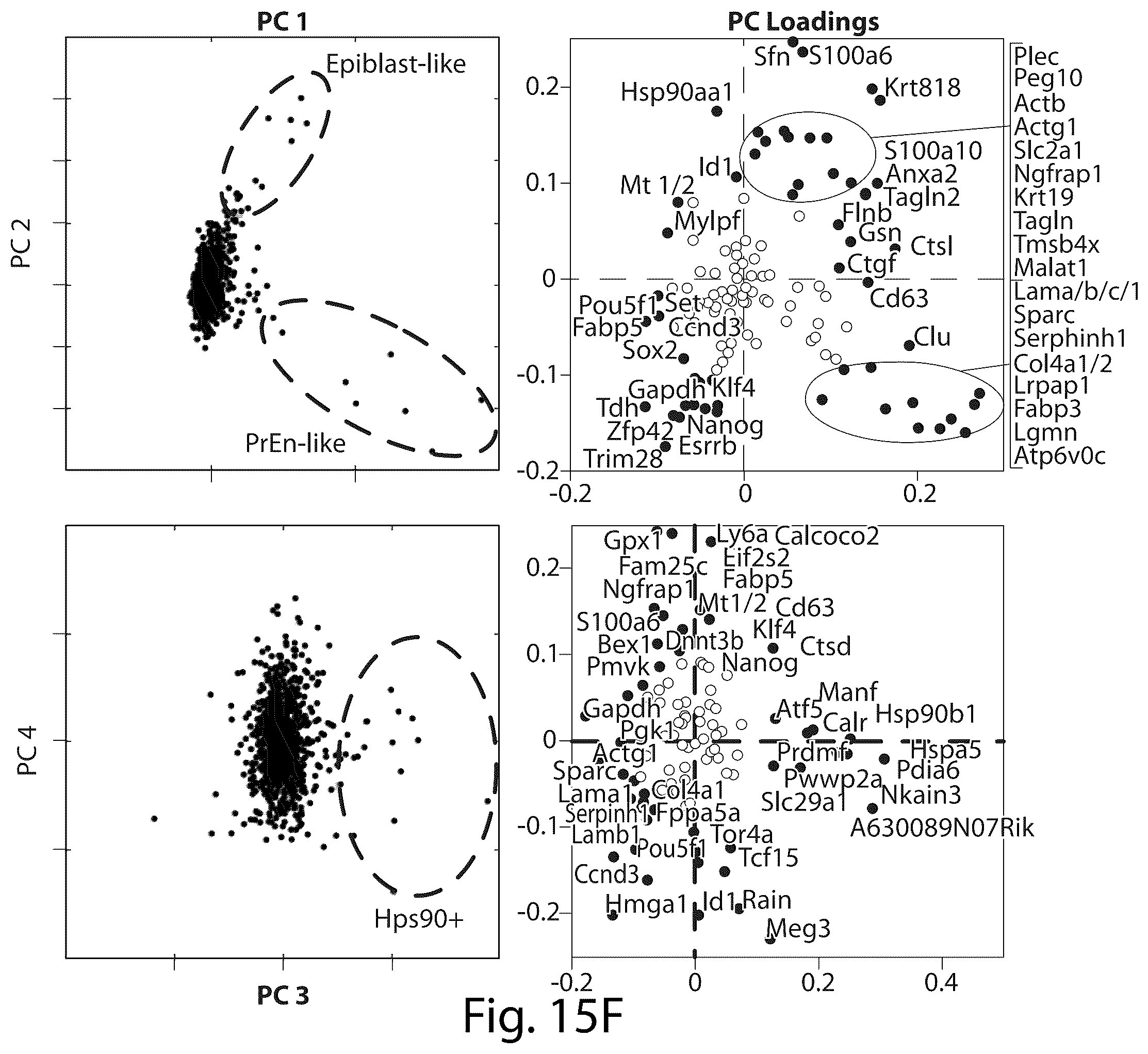 Patent US12551860 Figure 19 – Systems and methods for barcoding nucleic acids