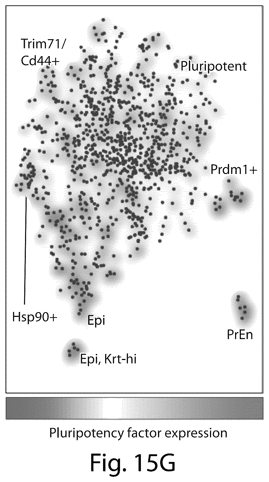 Patent US12551860 Figure 20 – Systems and methods for barcoding nucleic acids