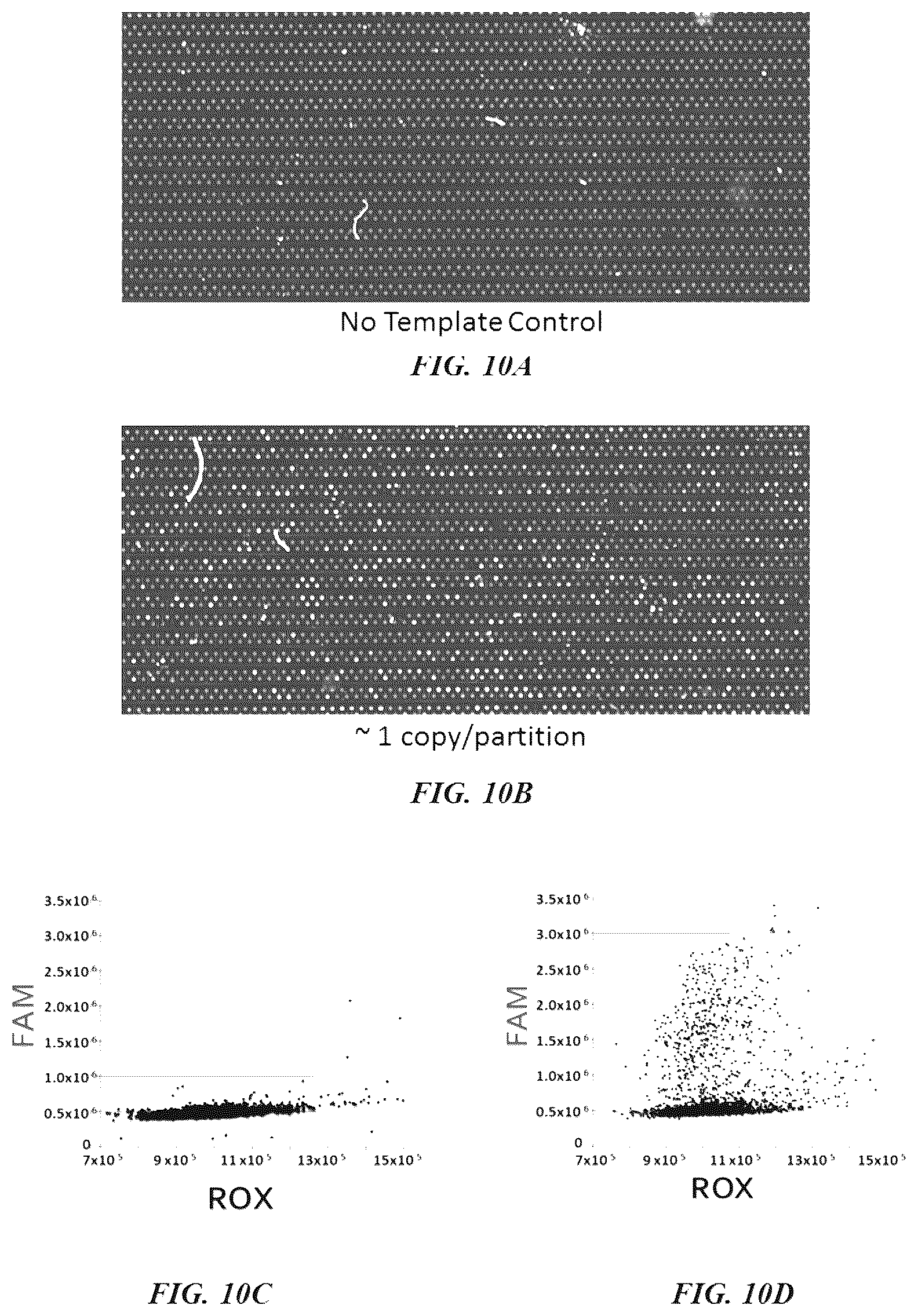 Patent US12551890 Figure 10 – Microfluidic siphoning array for nucleic acid quantification