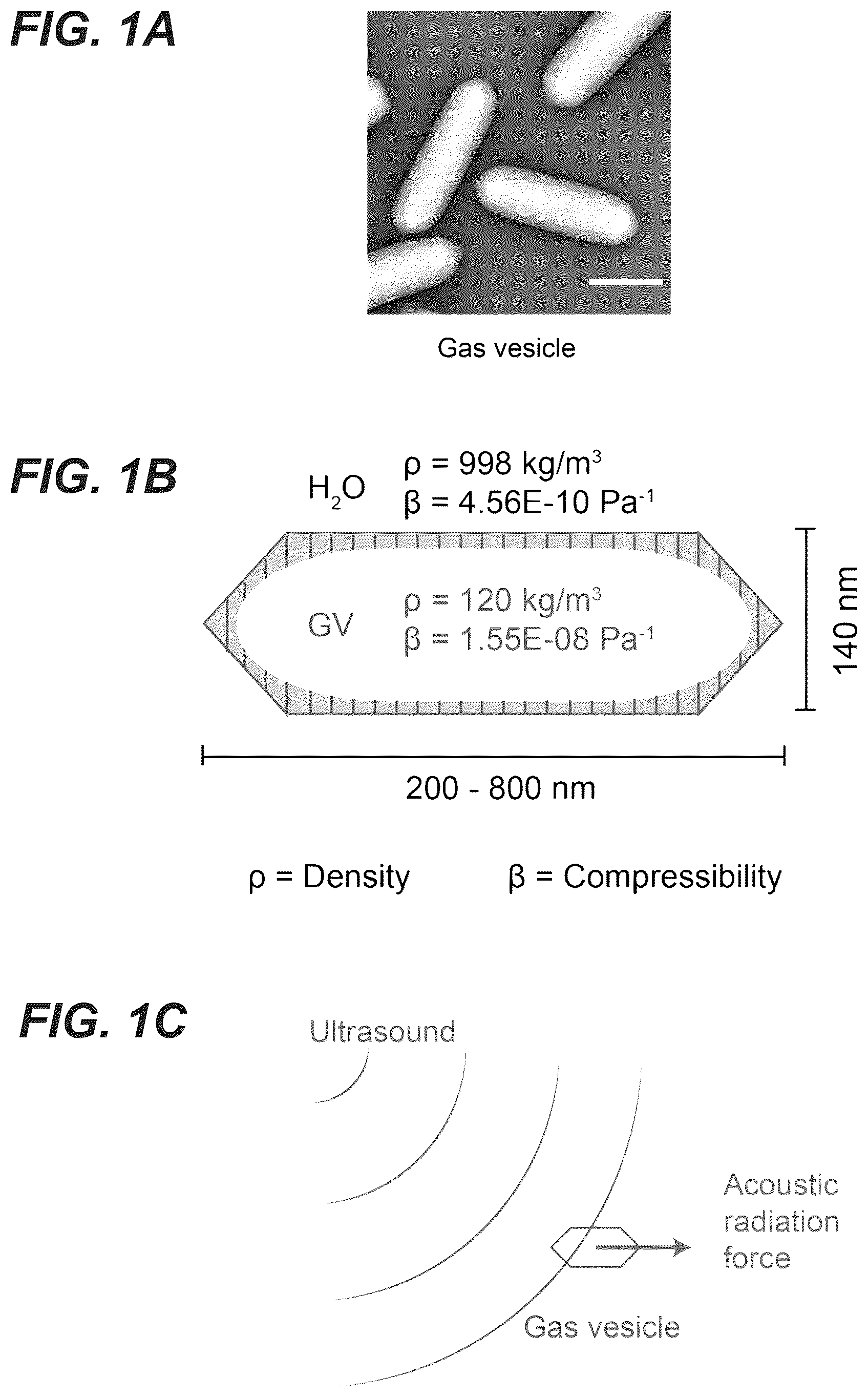 Patent US12551893 — Genetically encoded actuators for acoustic manipulation — Figure 1
